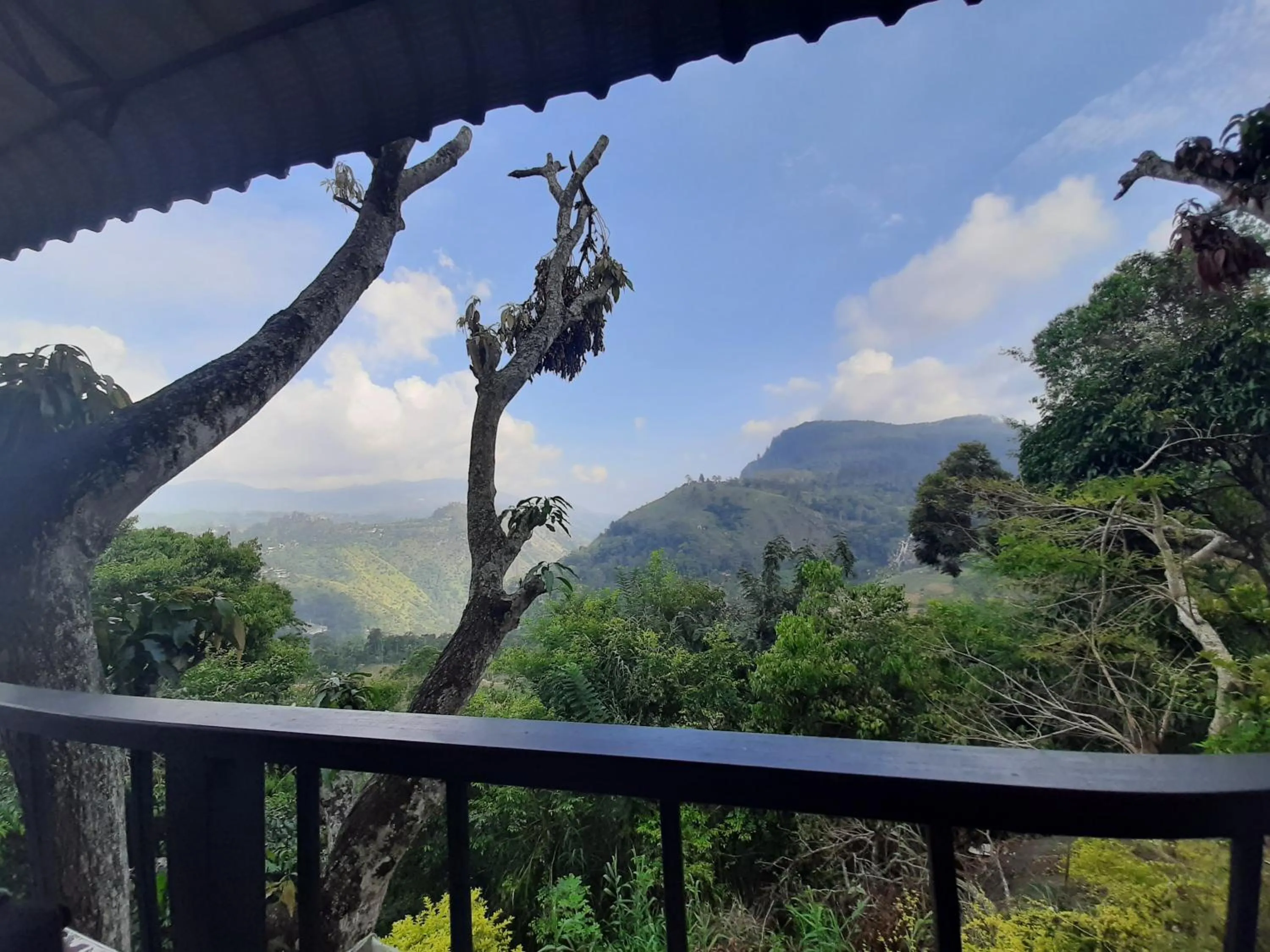 Day in Glorious Nature Inn