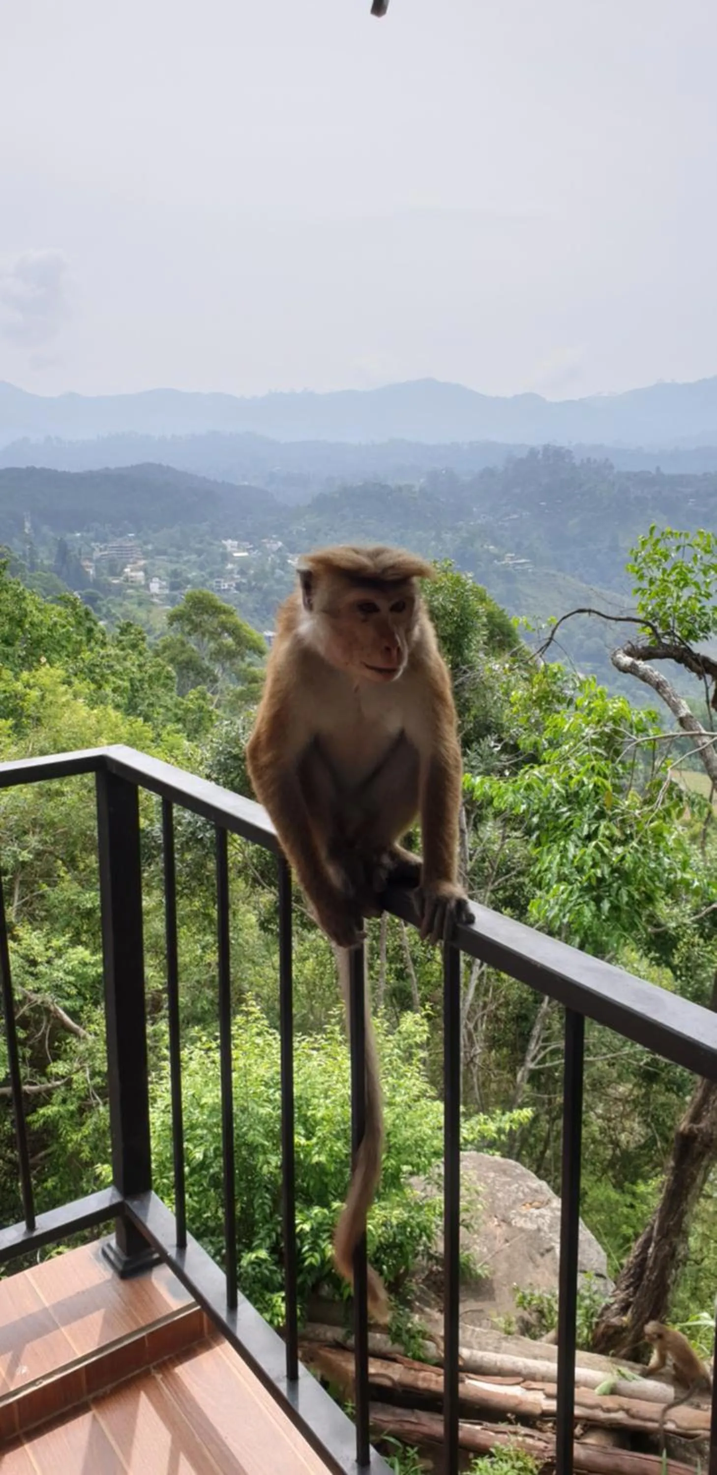 Day in Glorious Nature Inn