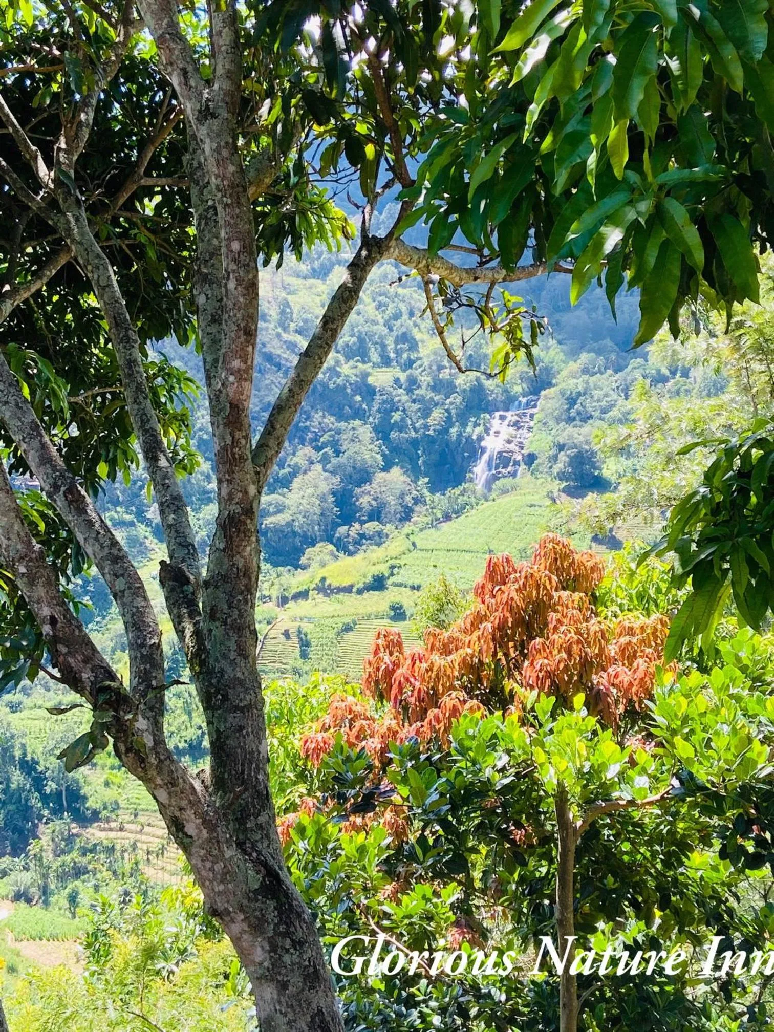 Natural landscape in Glorious Nature Inn