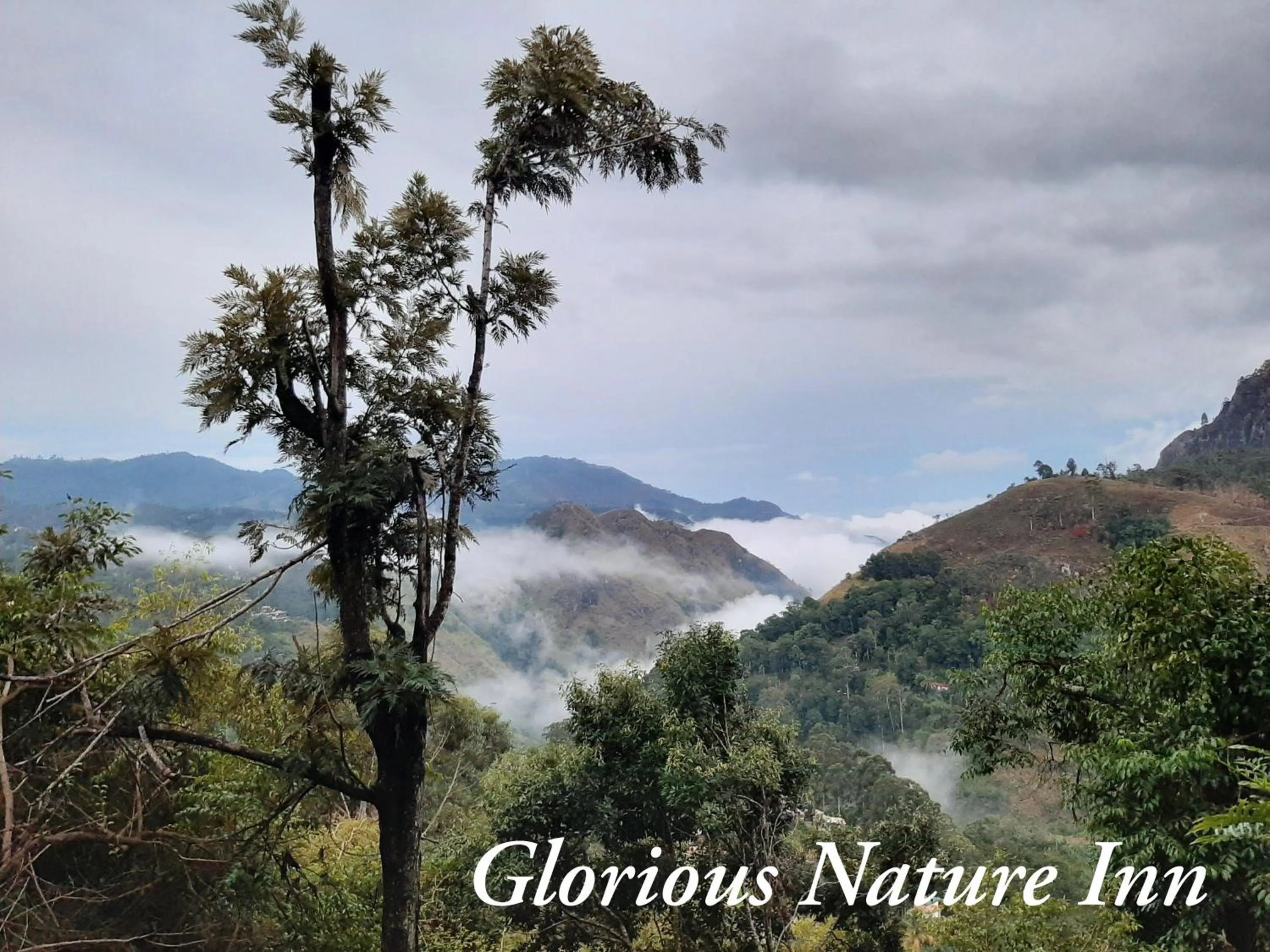 Natural landscape in Glorious Nature Inn