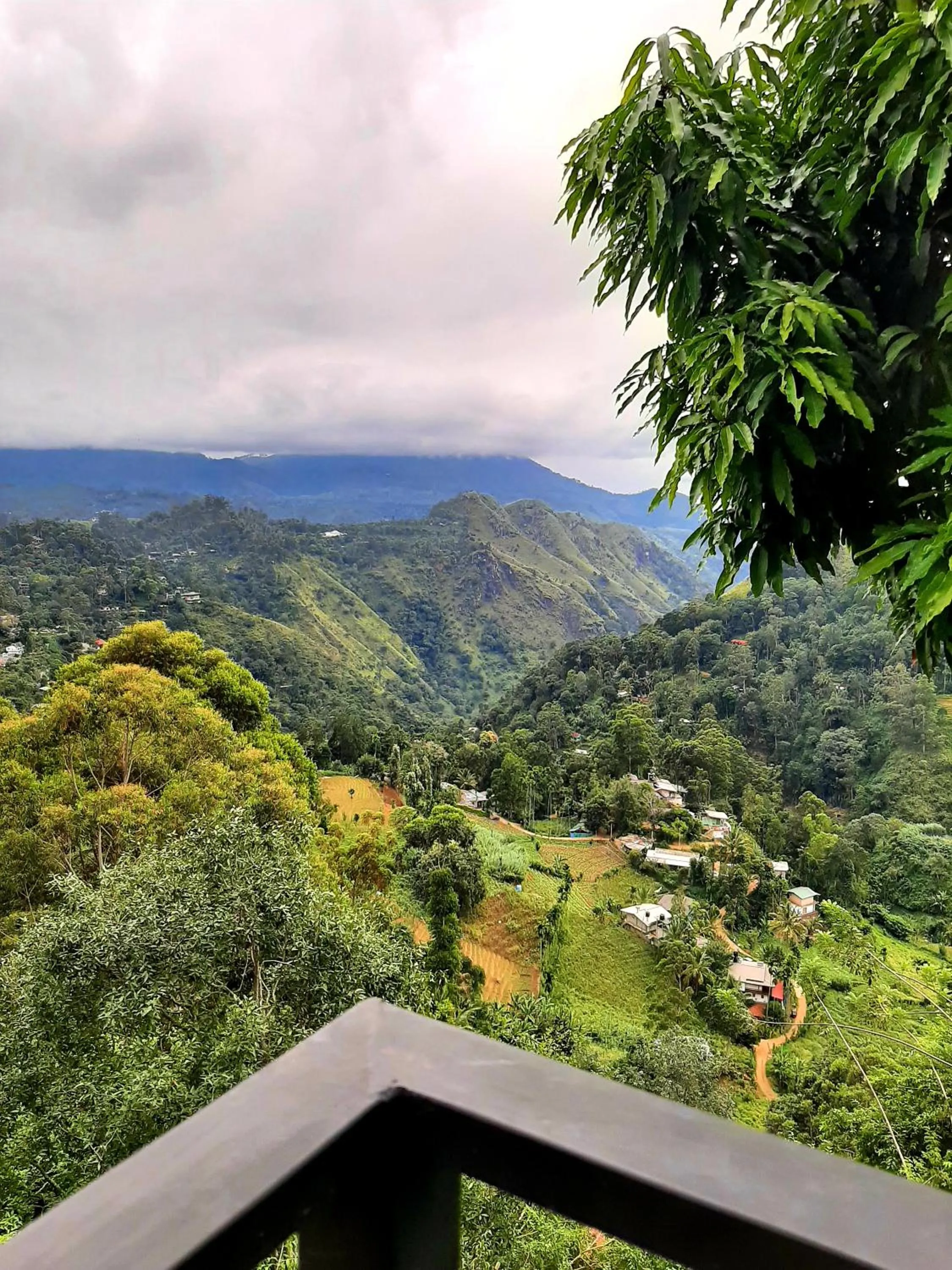 Balcony/Terrace in Glorious Nature Inn