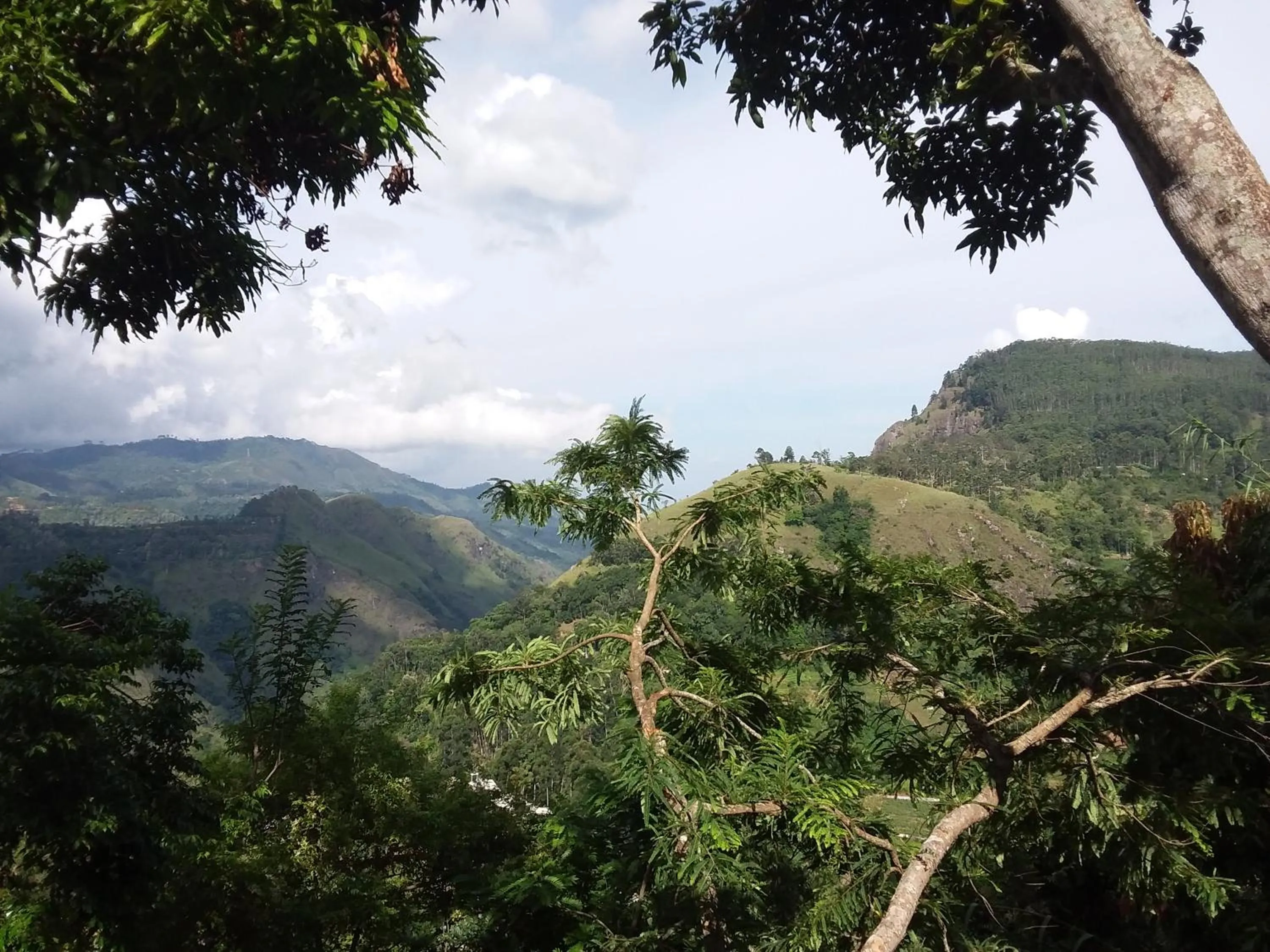 Natural landscape in Glorious Nature Inn