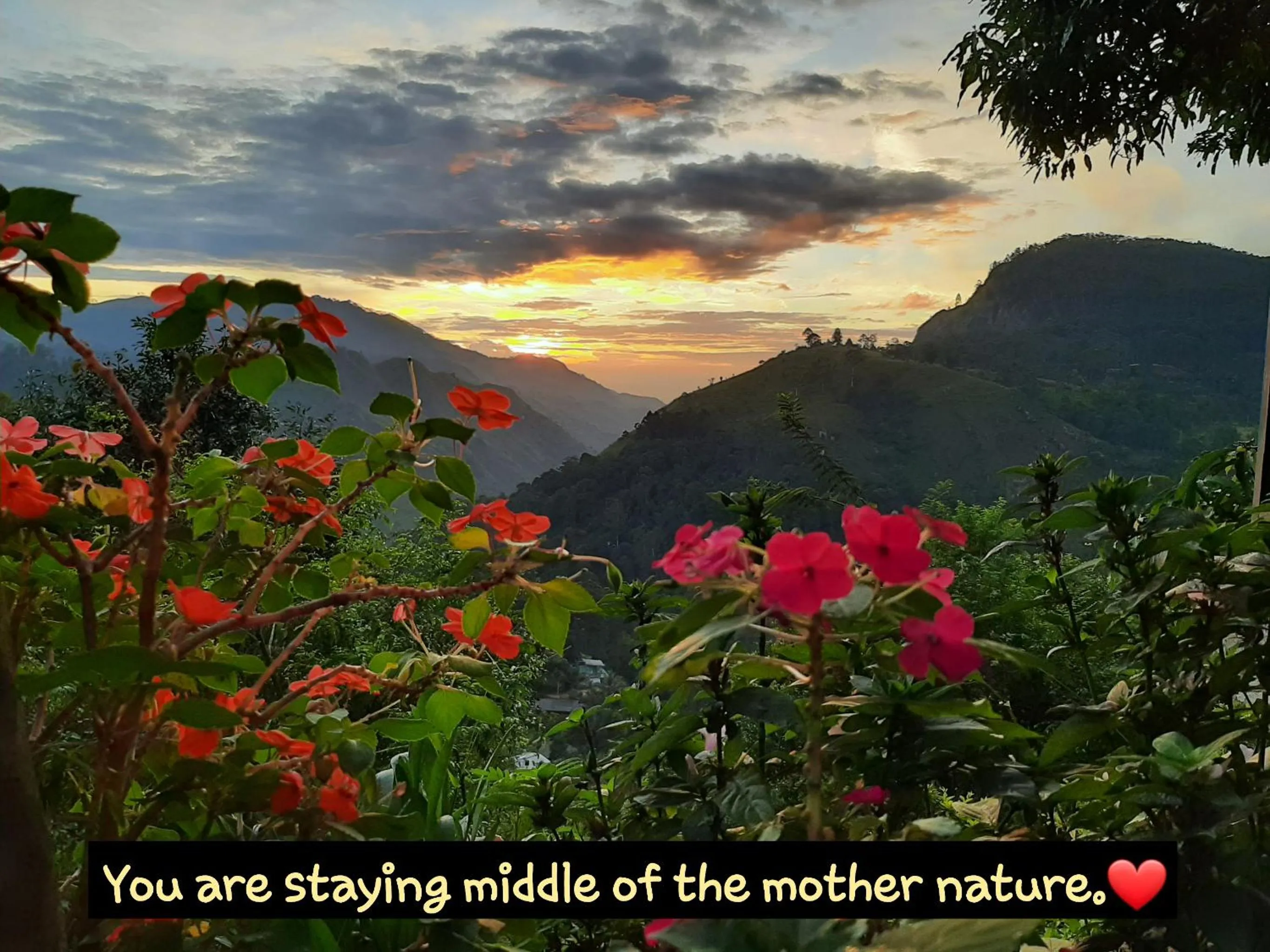 Natural landscape in Glorious Nature Inn