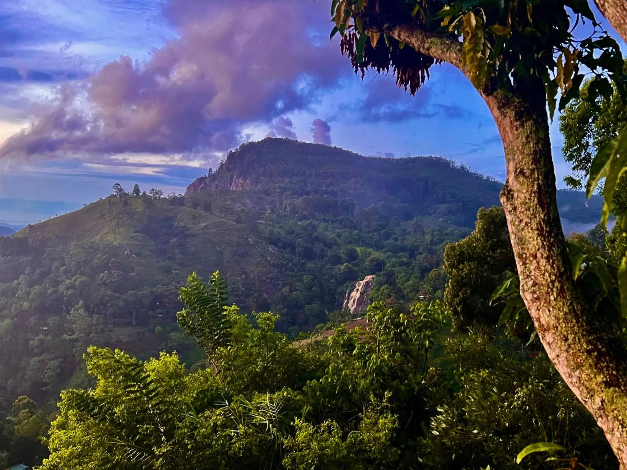 Day in Glorious Nature Inn