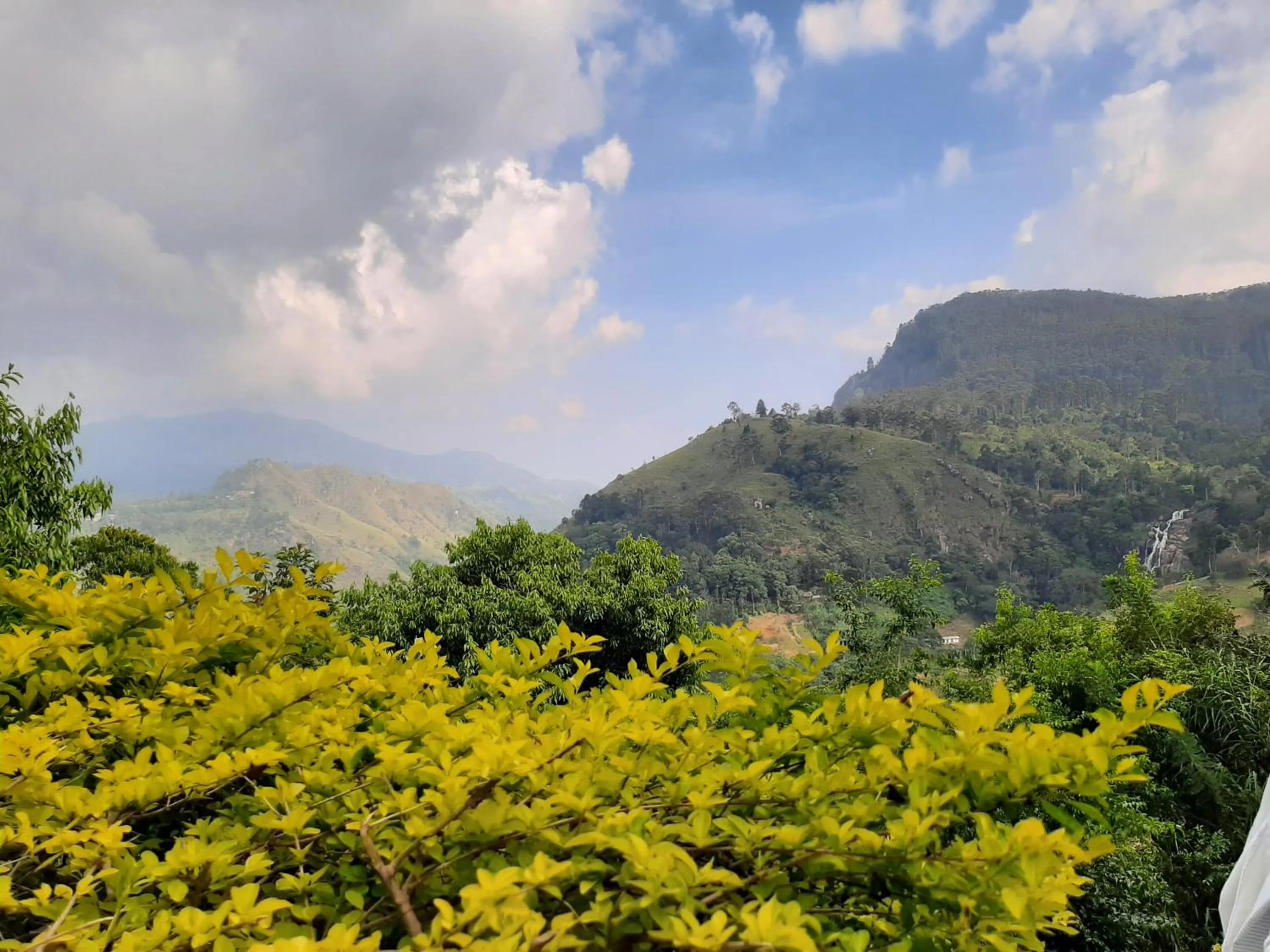 Day in Glorious Nature Inn