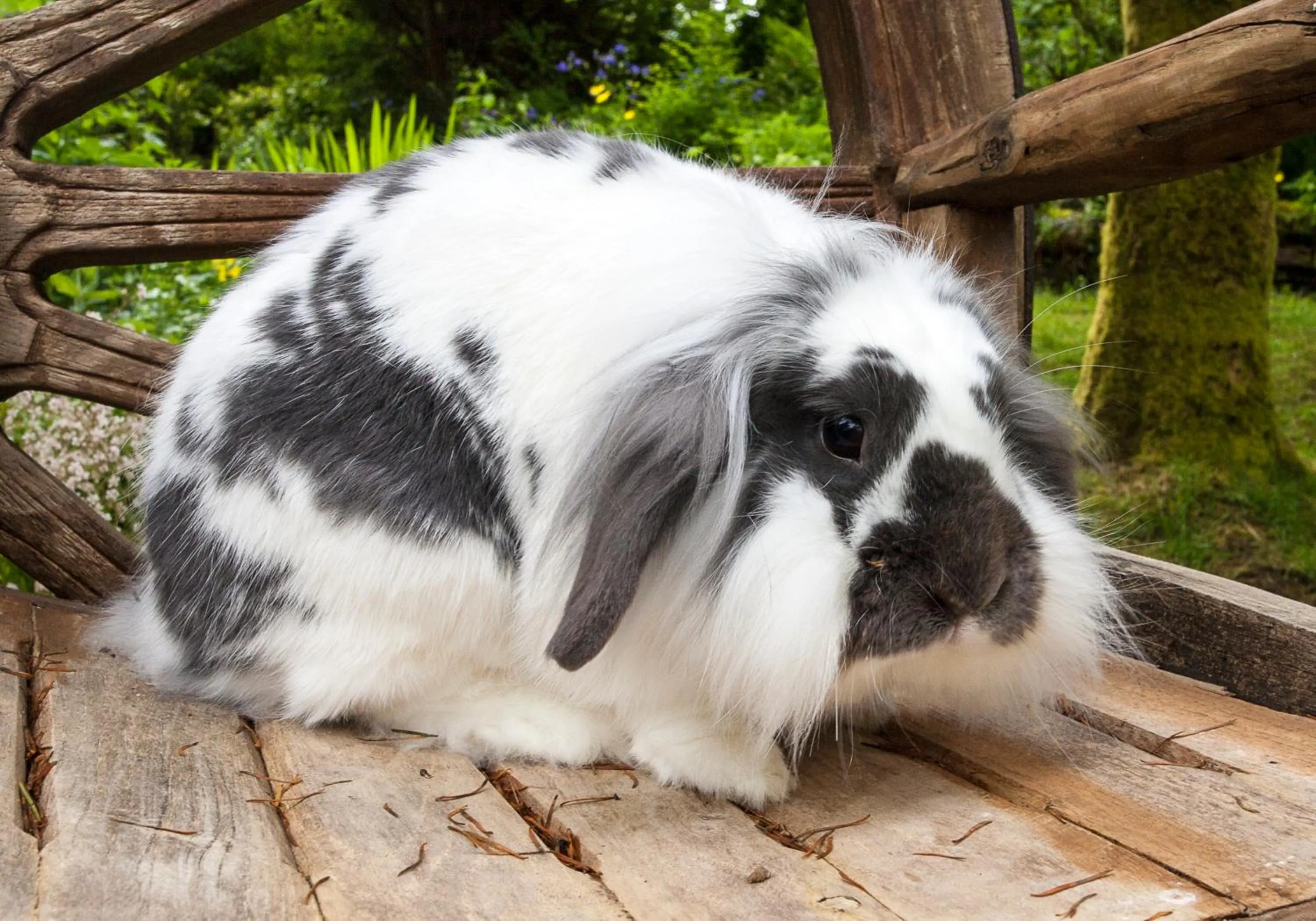 Day in Kettle House B&B