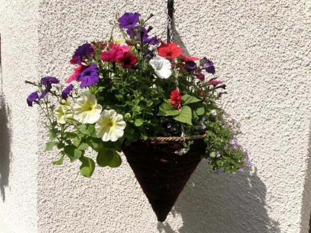 Decorative detail in Kettle House B&B