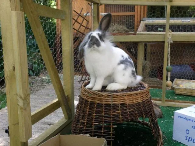 Garden in Kettle House B&B