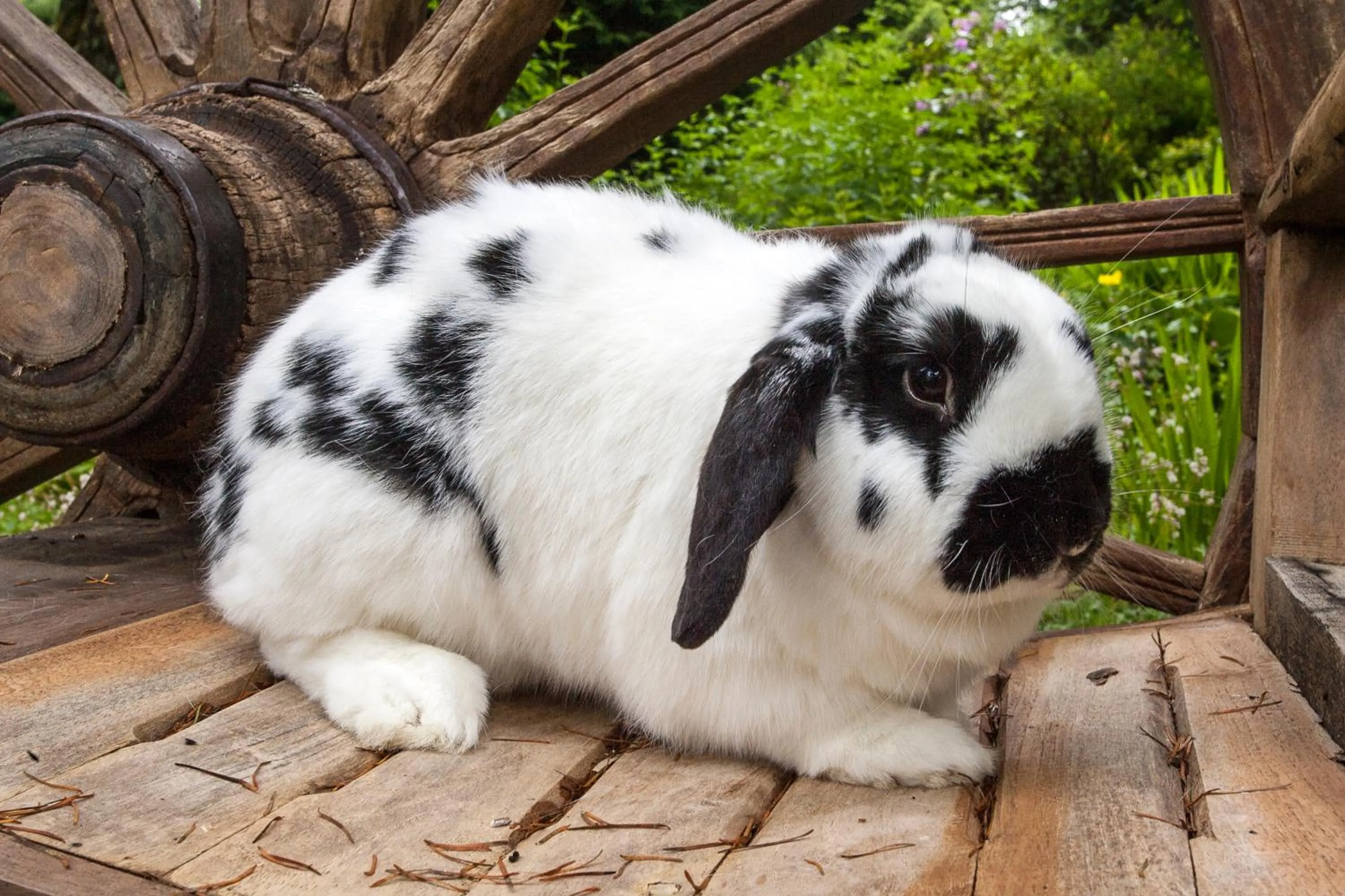 Day in Kettle House B&B