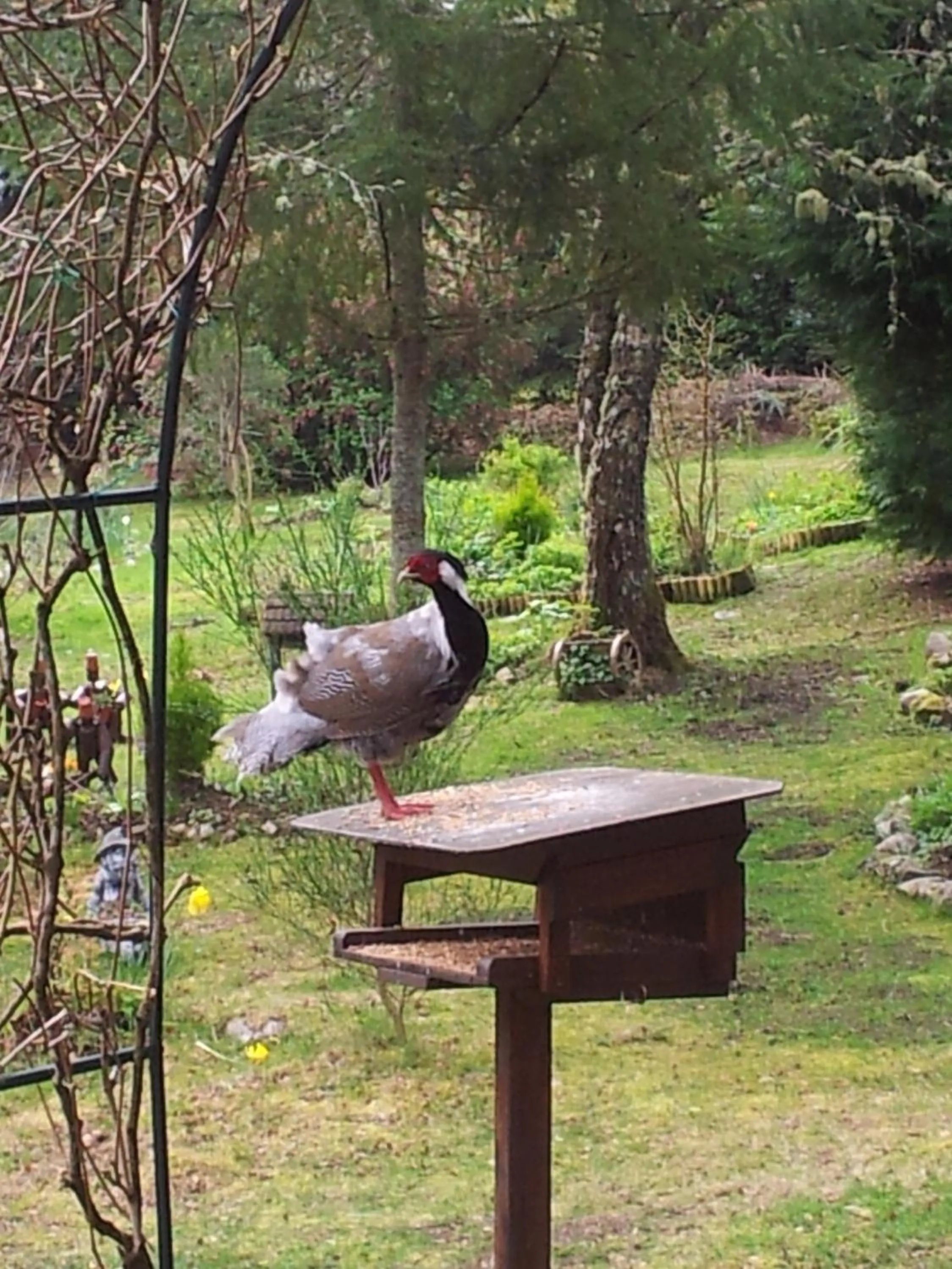Garden in Kettle House B&B