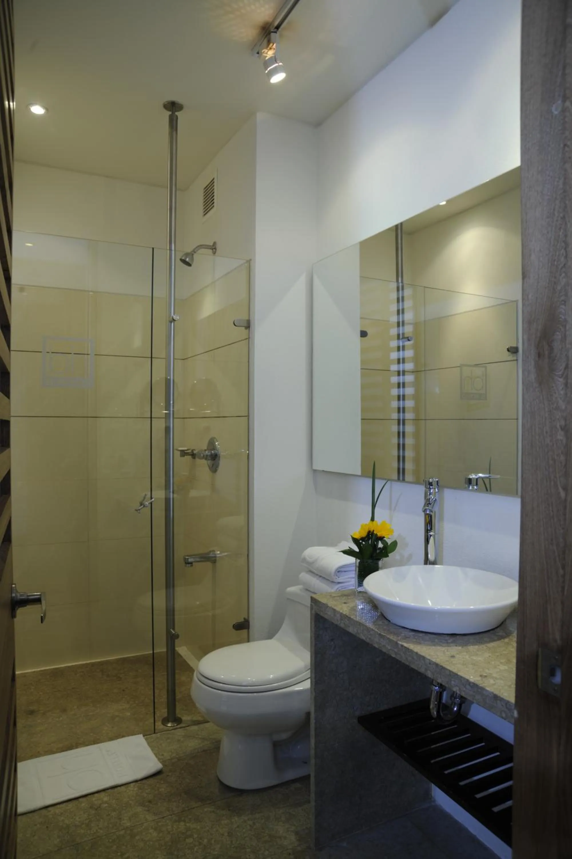 Shower in Mercure Bogota BH Retiro