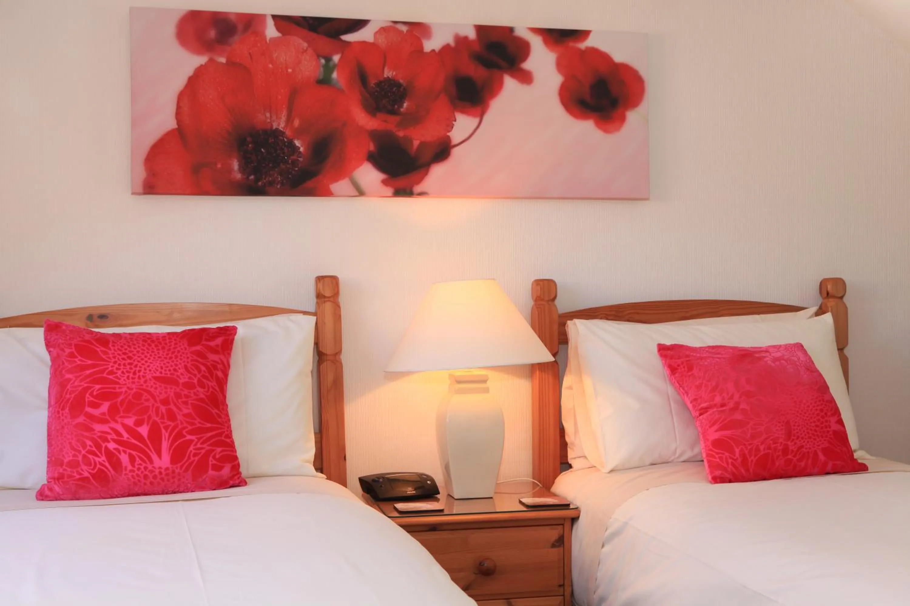 Decorative detail, Bed in Ardlinnhe Bed & Breakfast