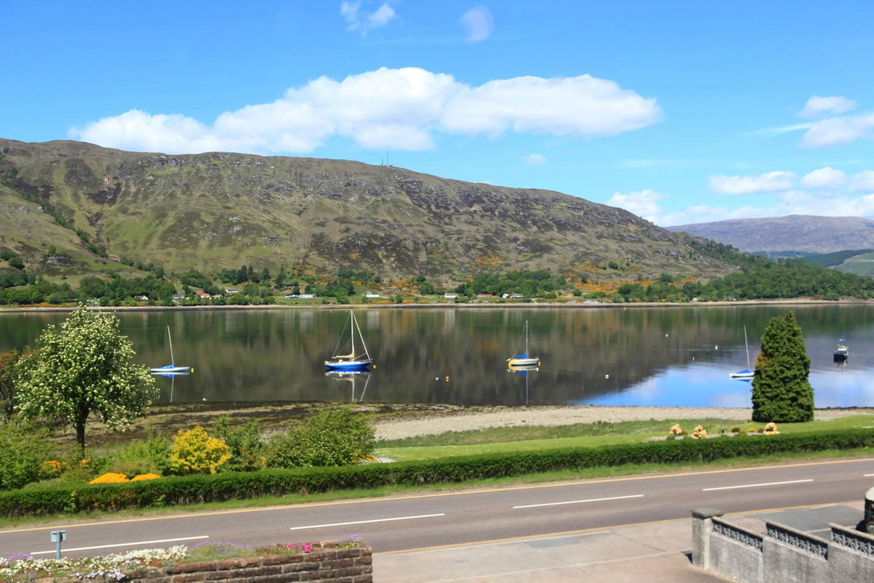 Natural landscape in Ardlinnhe Bed & Breakfast
