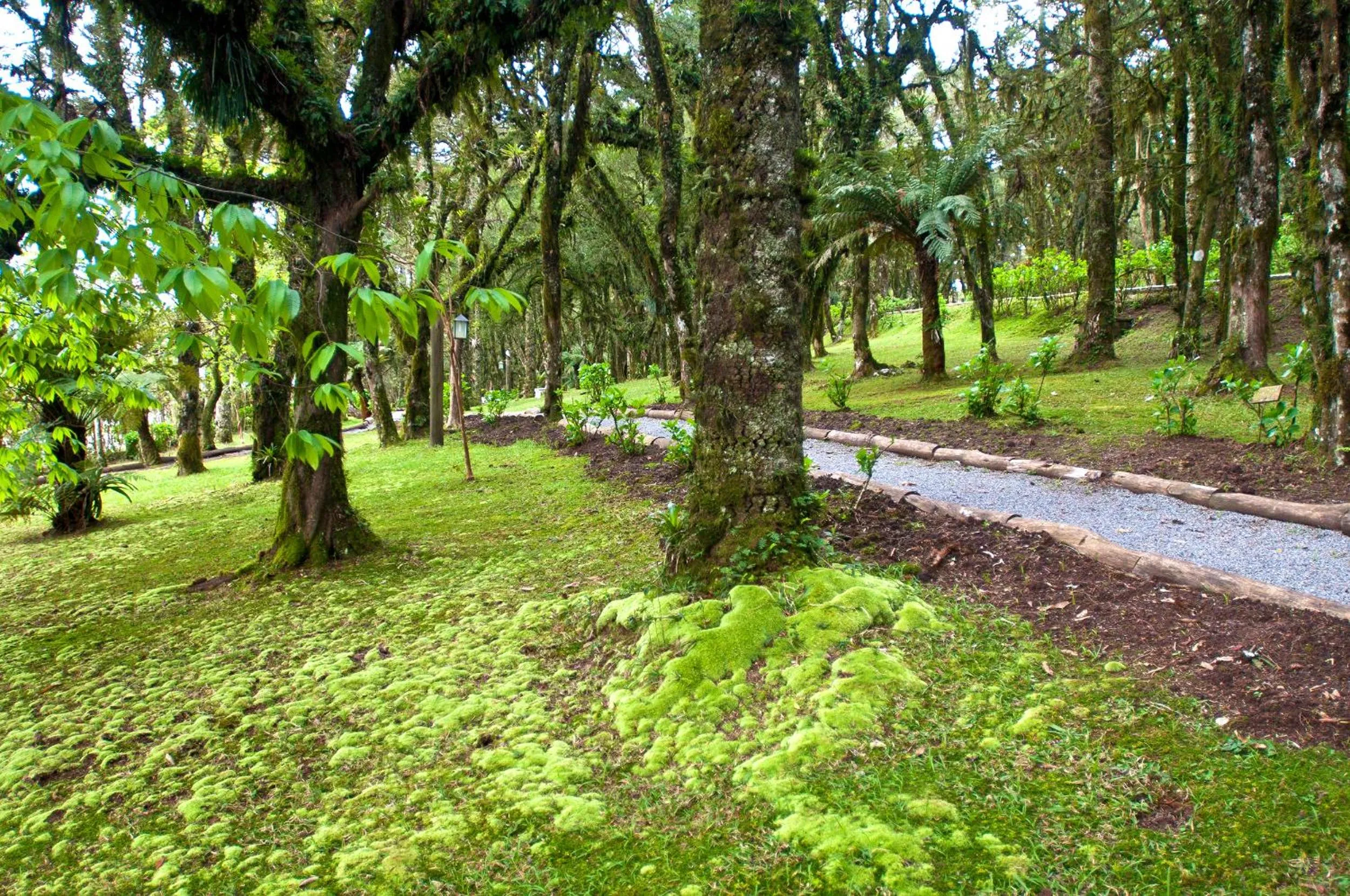 Natural landscape in Tri Hotel