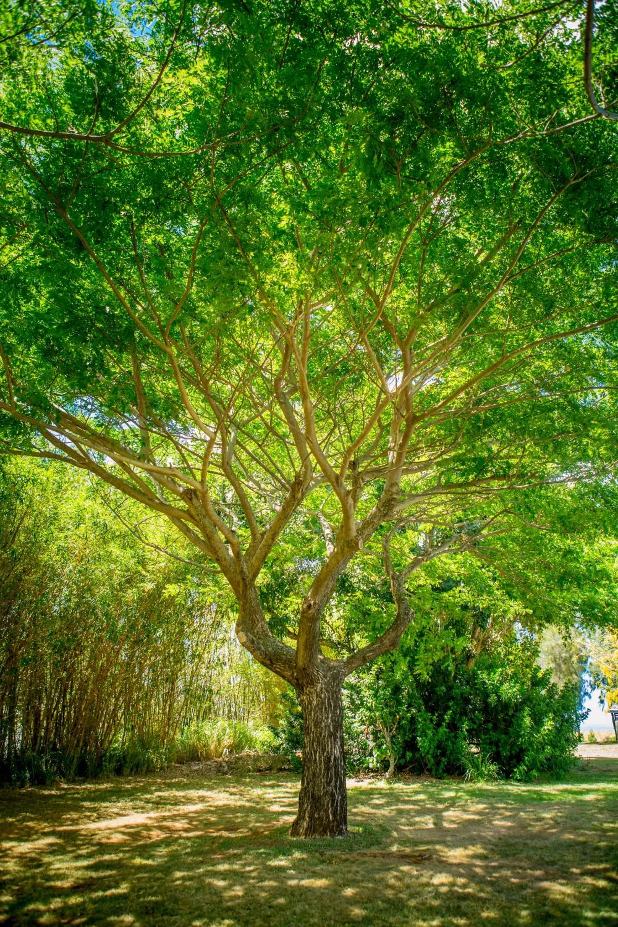 Garden in Lumeria Maui, Educational Retreat Center