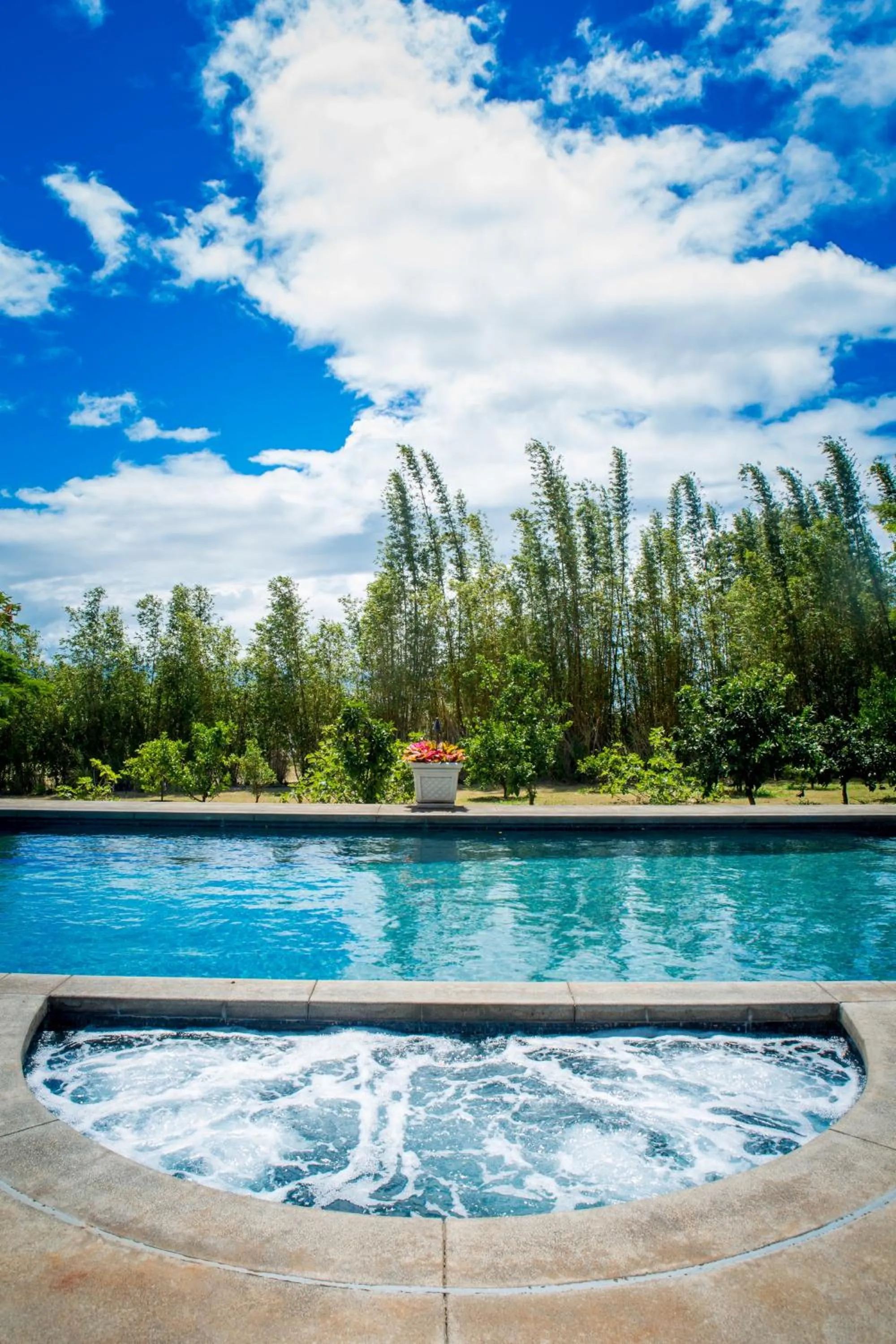 Pool view in Lumeria Maui, Educational Retreat Center