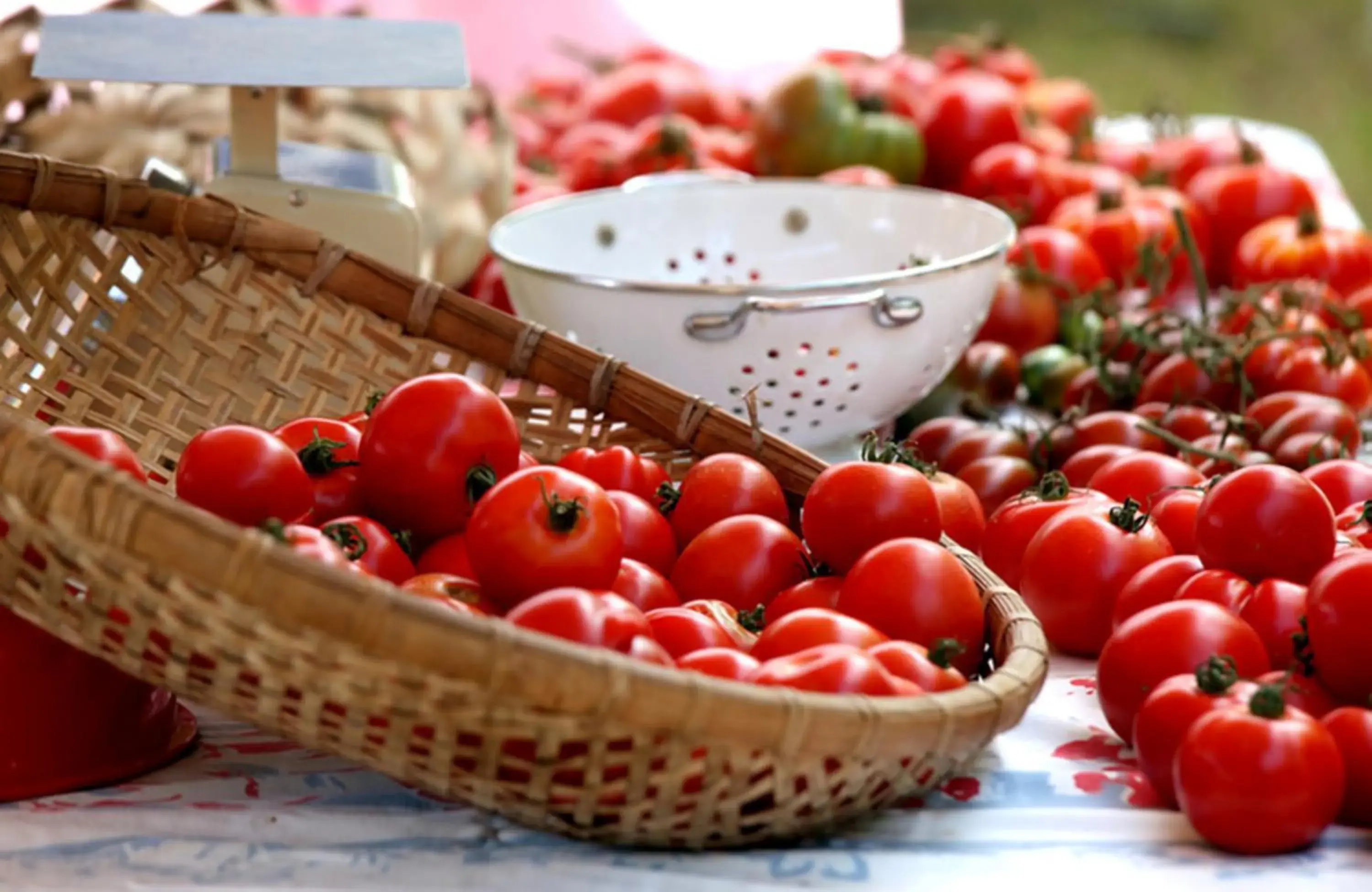 Food in Lumeria Maui, Educational Retreat Center Food in Lumeria Maui, Educational Retreat Center
