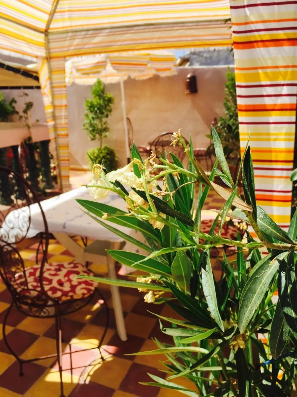 Patio in Ryad Bianco
