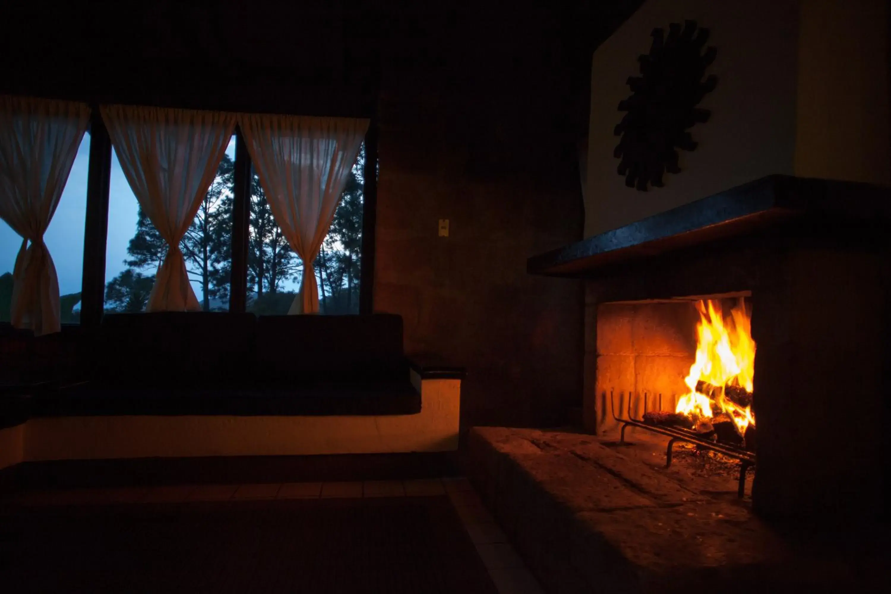 Living room in Monteverde Living room in Monteverde