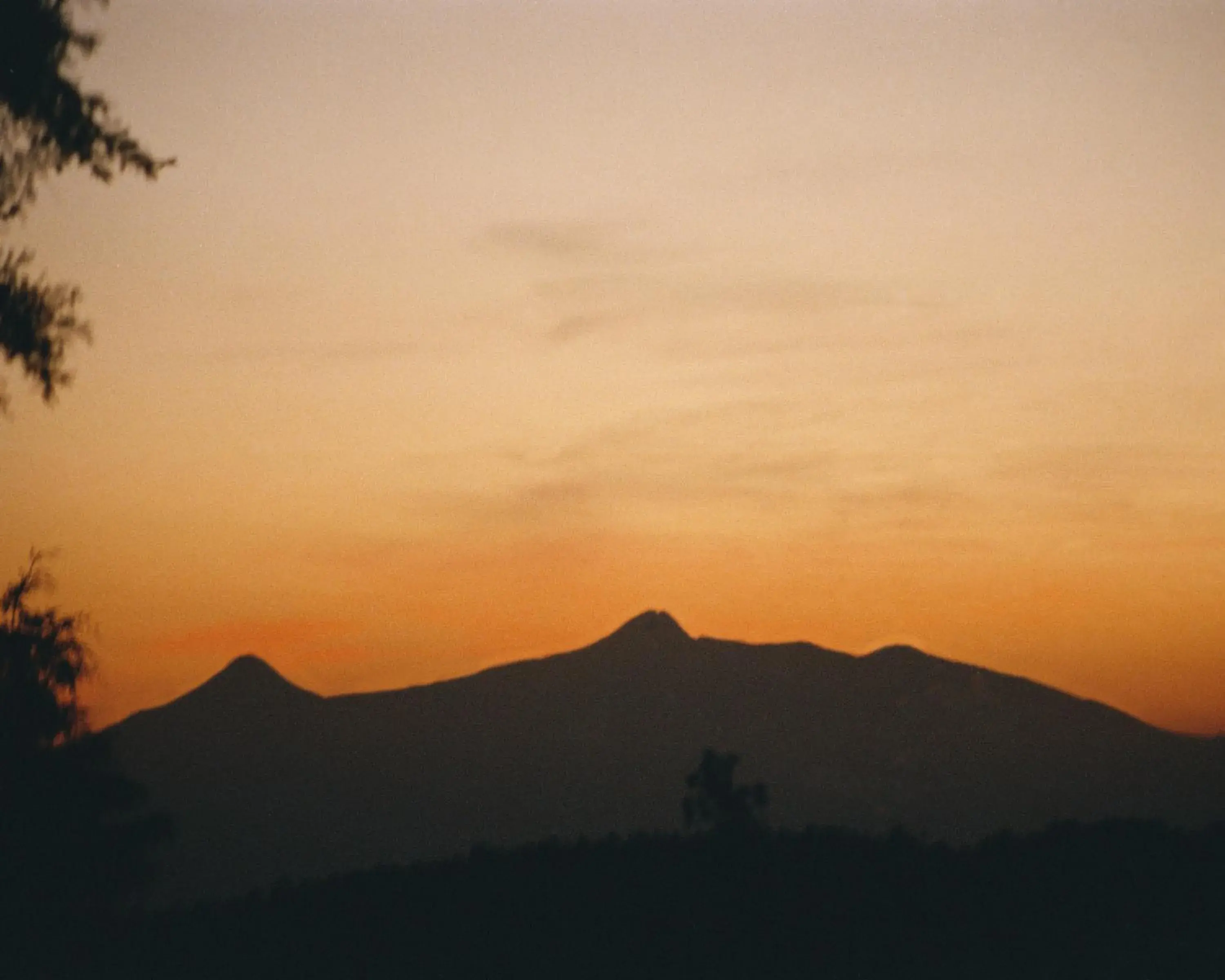 View (from property/room) in Monteverde View (from property/room) in Monteverde