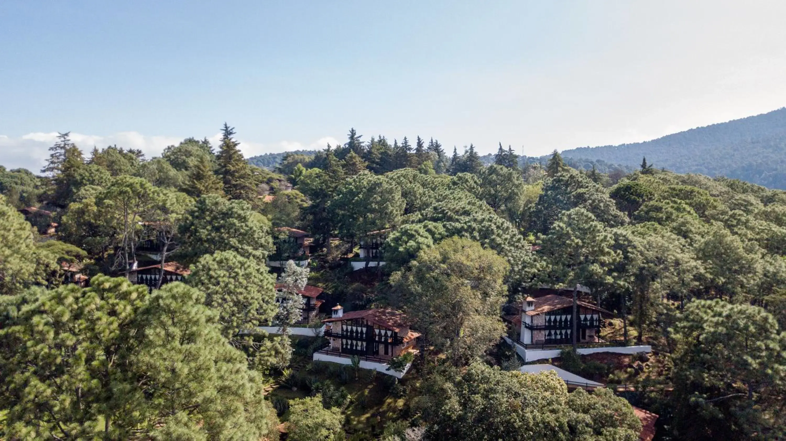Bird's eye view in Monteverde Bird's eye view in Monteverde