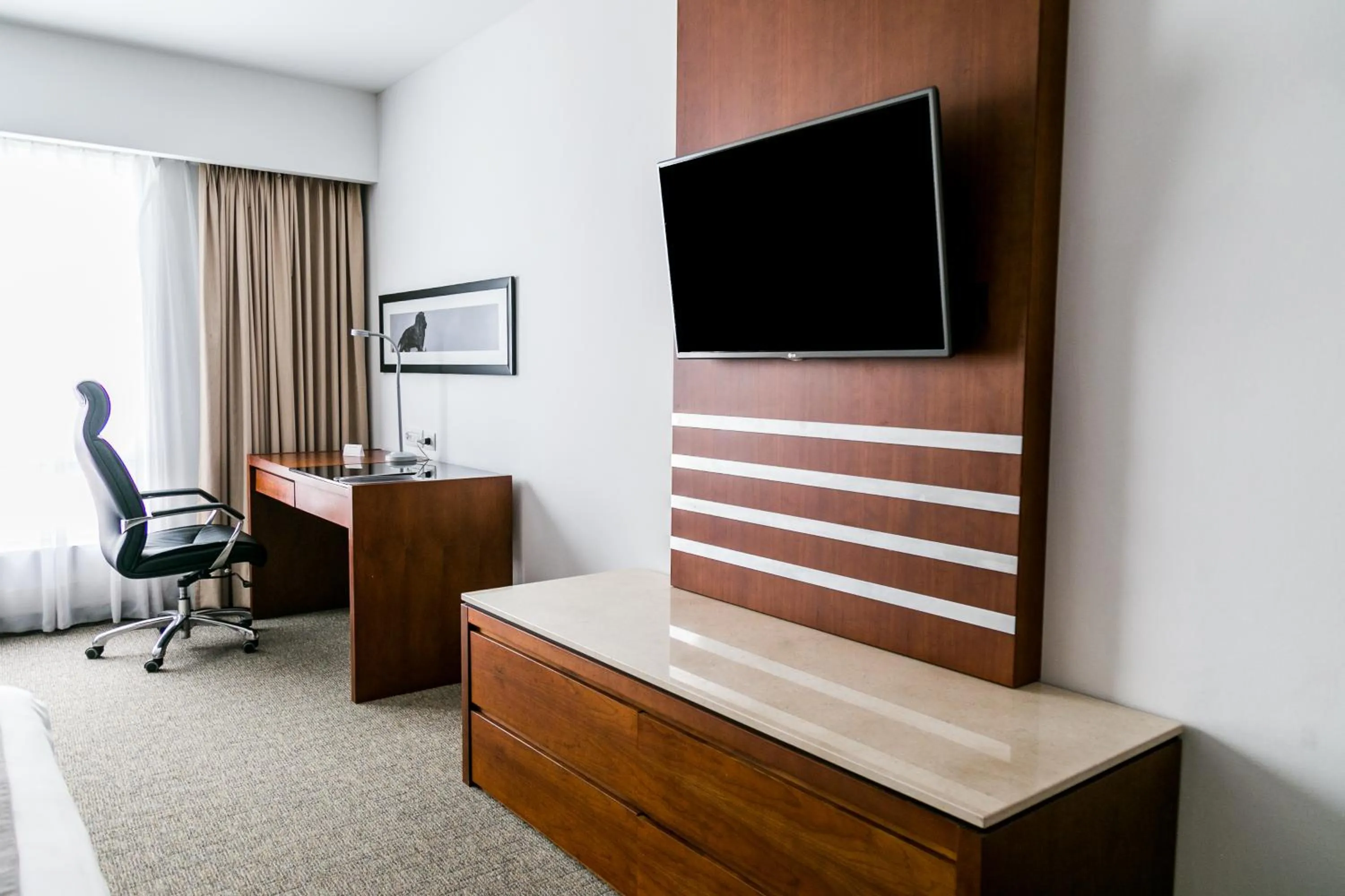 TV and multimedia in Radisson Poliforum Plaza Hotel Leon