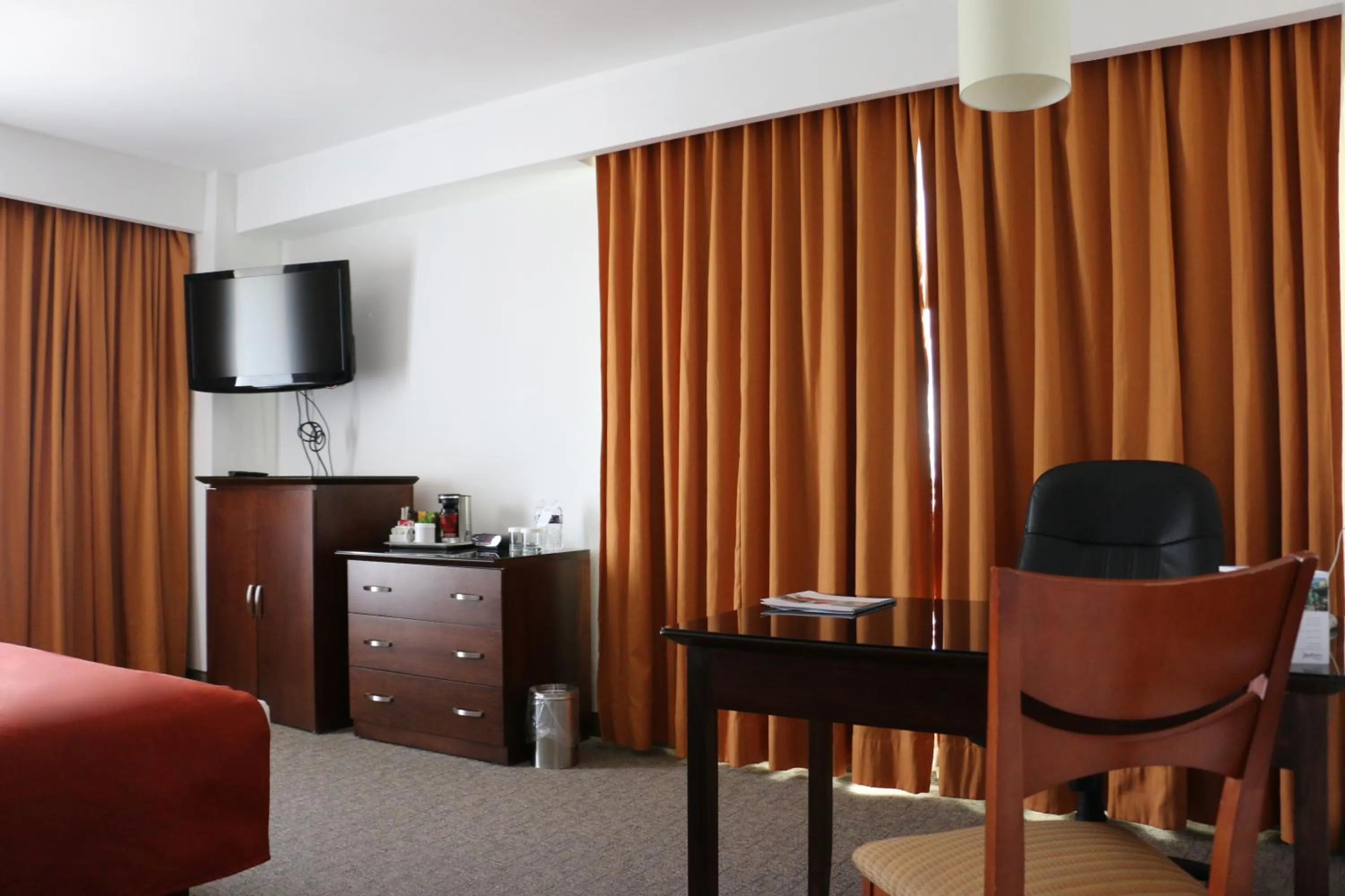 TV and multimedia in Radisson Poliforum Plaza Hotel Leon