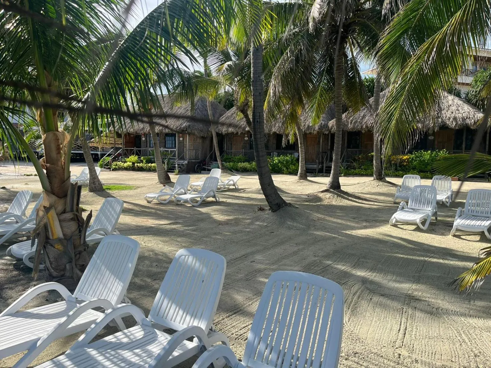 Natural landscape in Captain Morgan's Retreat