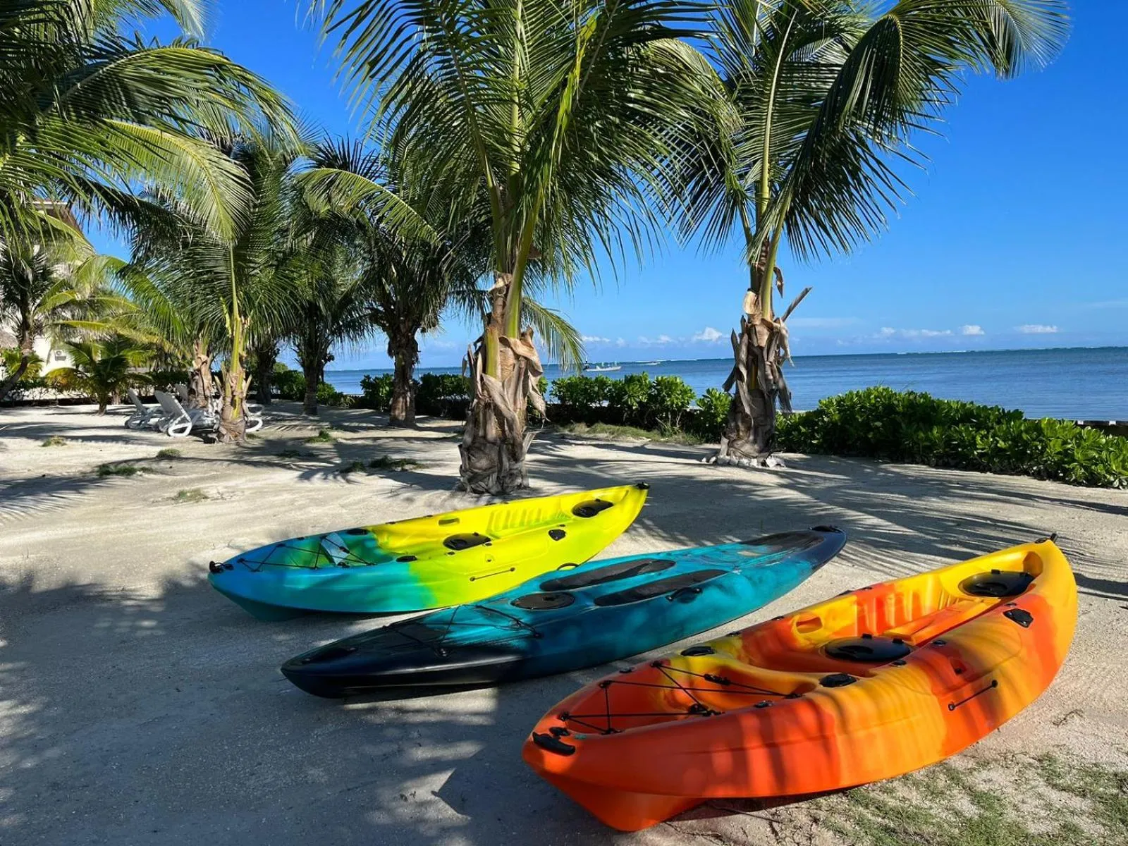 Natural landscape in Captain Morgan's Retreat