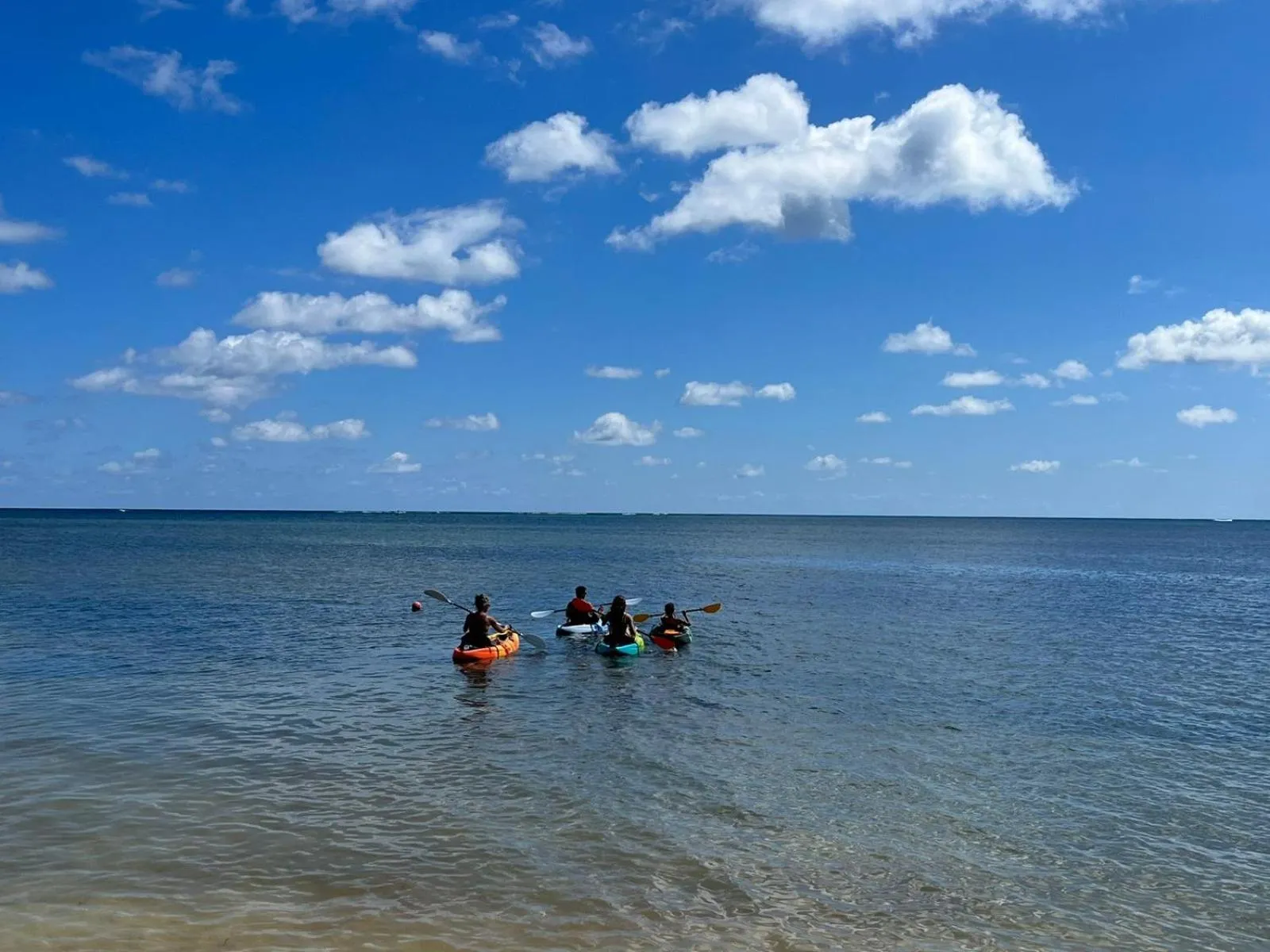 Natural landscape in Captain Morgan's Retreat