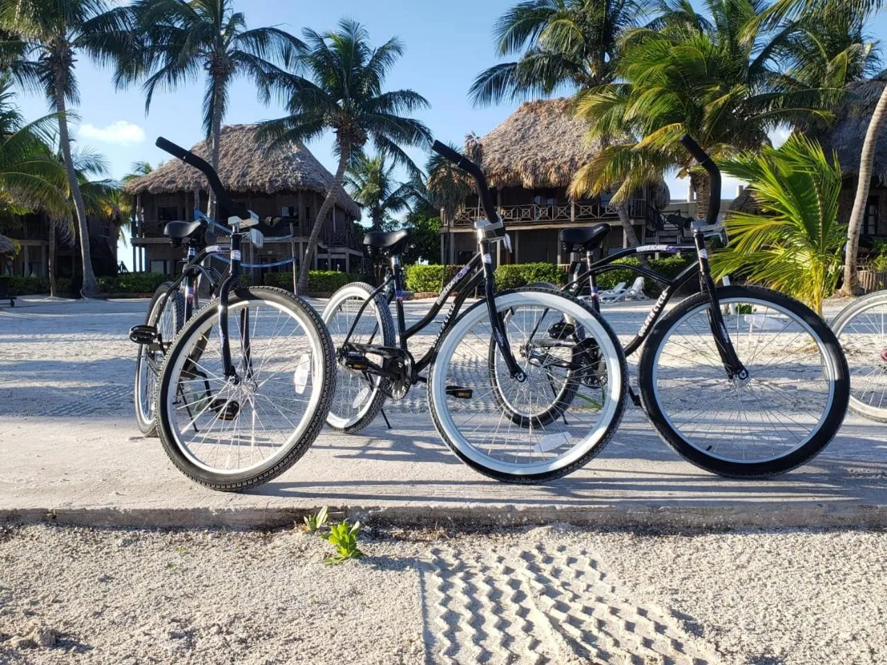 Captain Morgan's Retreat