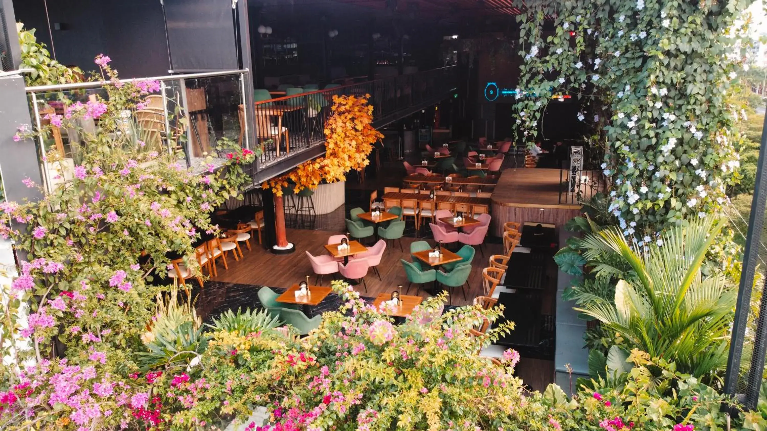 Restaurant/places to eat in Hotel Plaza del Lili Restaurant/places to eat in Hotel Plaza del Lili