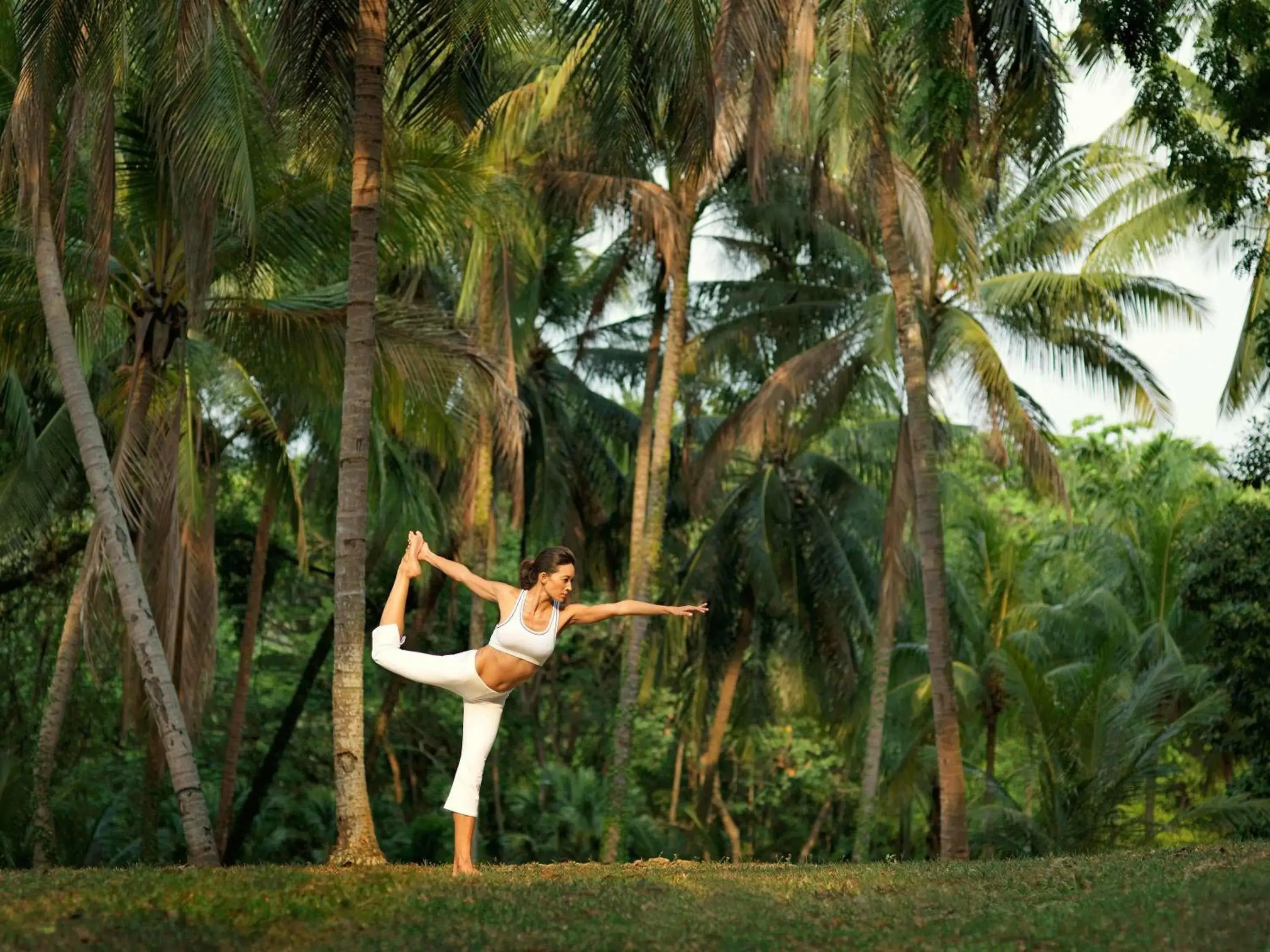 Fitness centre/facilities in Sofitel Singapore Sentosa Fitness centre/facilities in Sofitel Singapore Sentosa