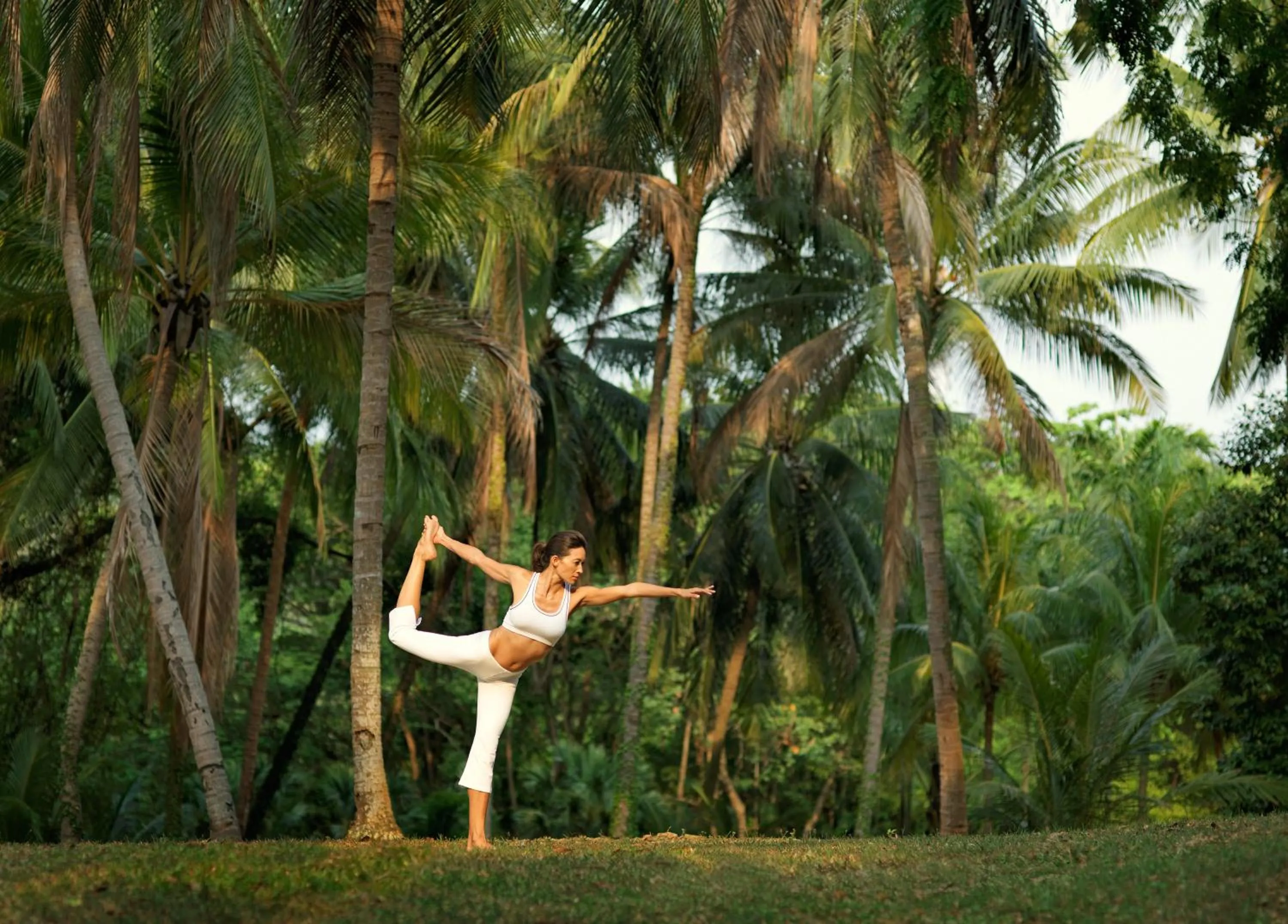 Other in Sofitel Singapore Sentosa