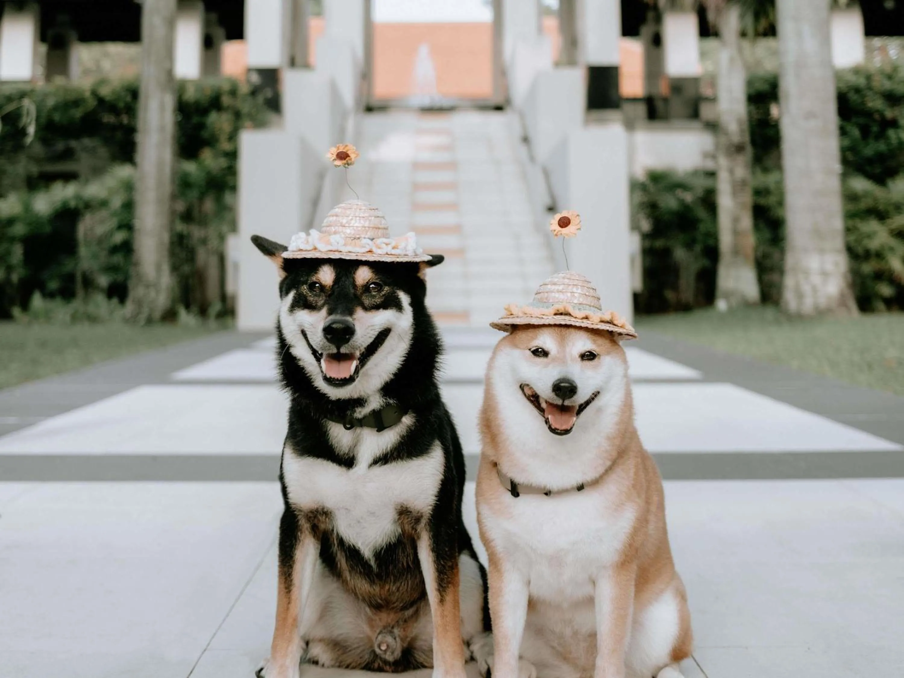 Other in Sofitel Singapore Sentosa