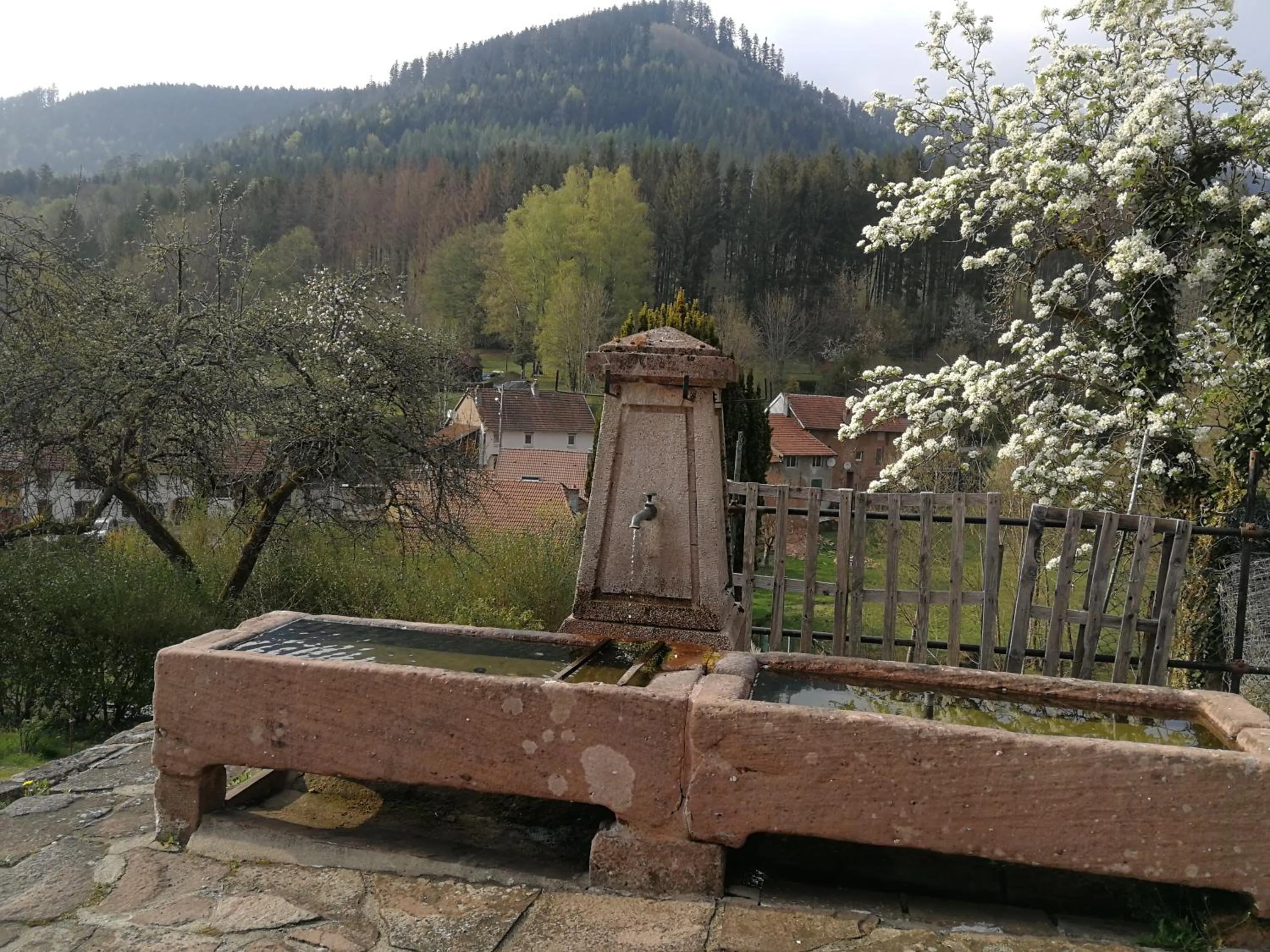 Natural landscape in La maison du vannier