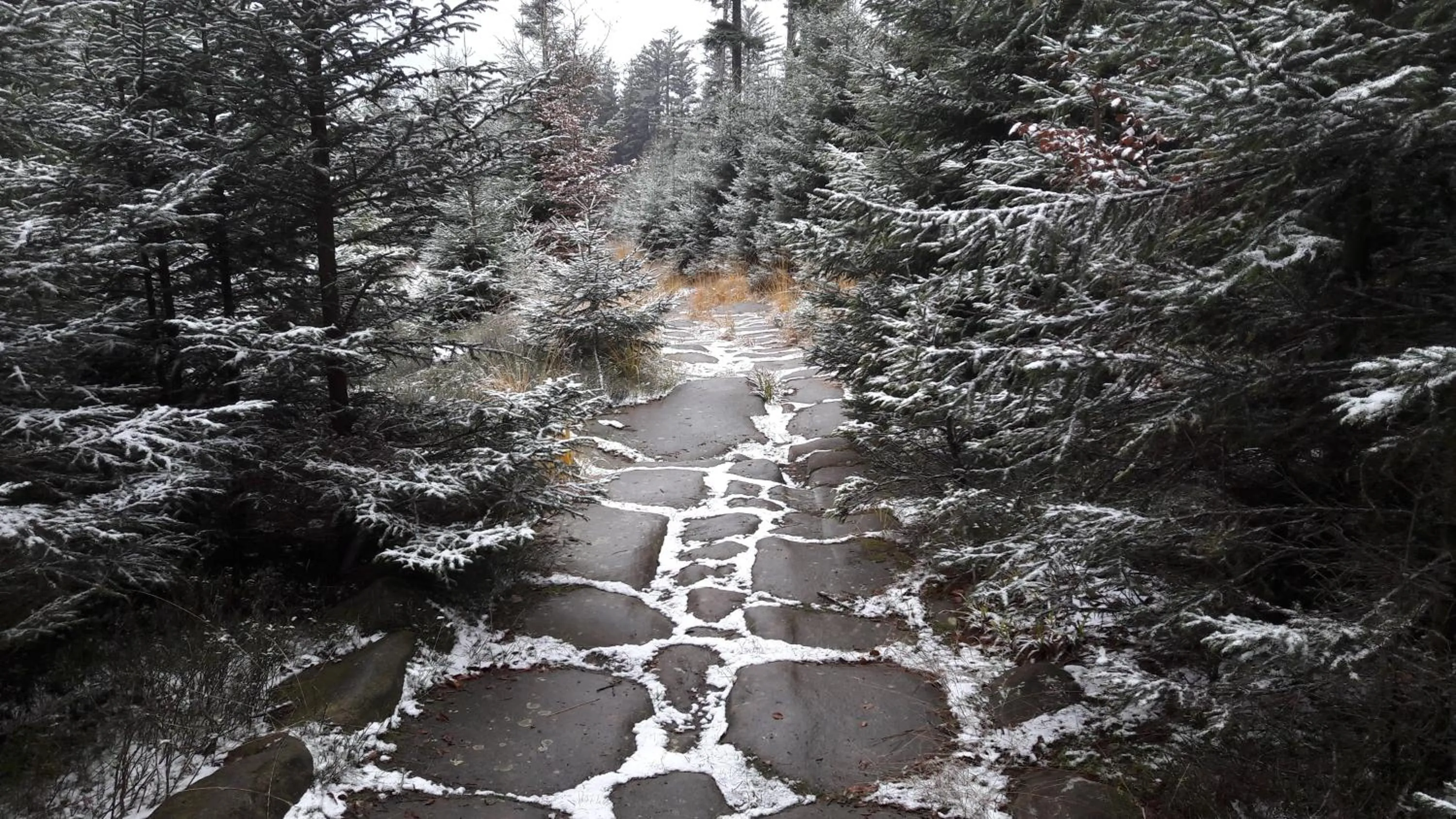 Property building in La maison du vannier