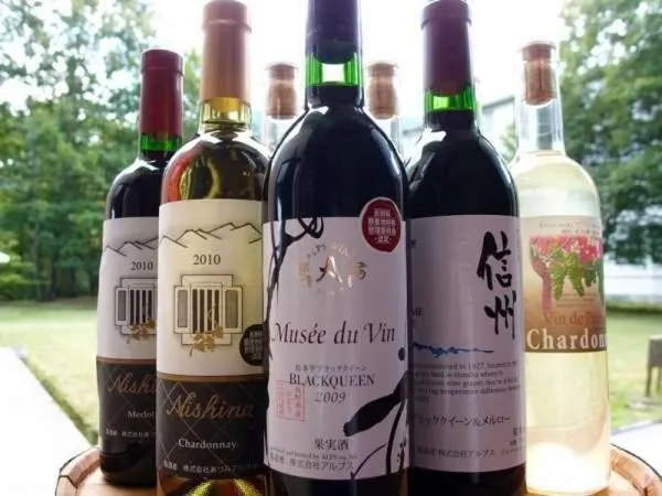 Azumino Hotaka View Hotel