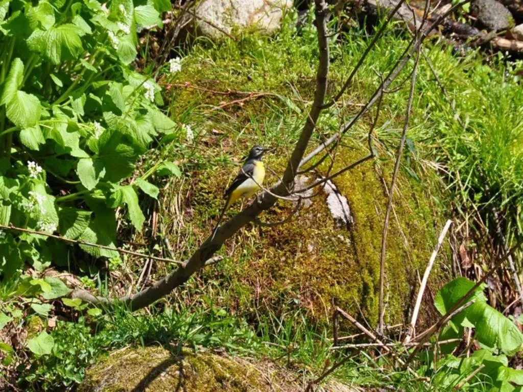 Azumino Hotaka View Hotel