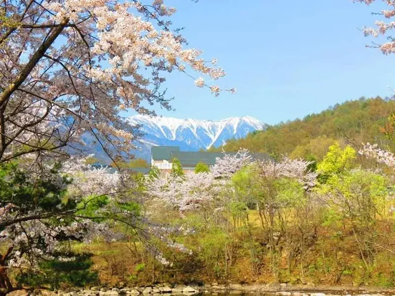 Azumino Hotaka View Hotel