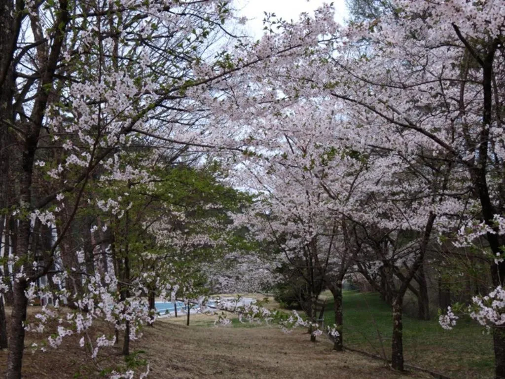 Azumino Hotaka View Hotel