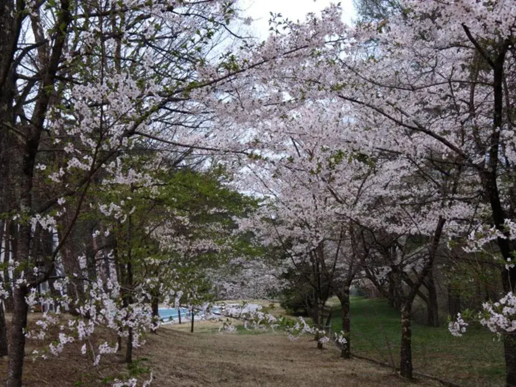 Azumino Hotaka View Hotel