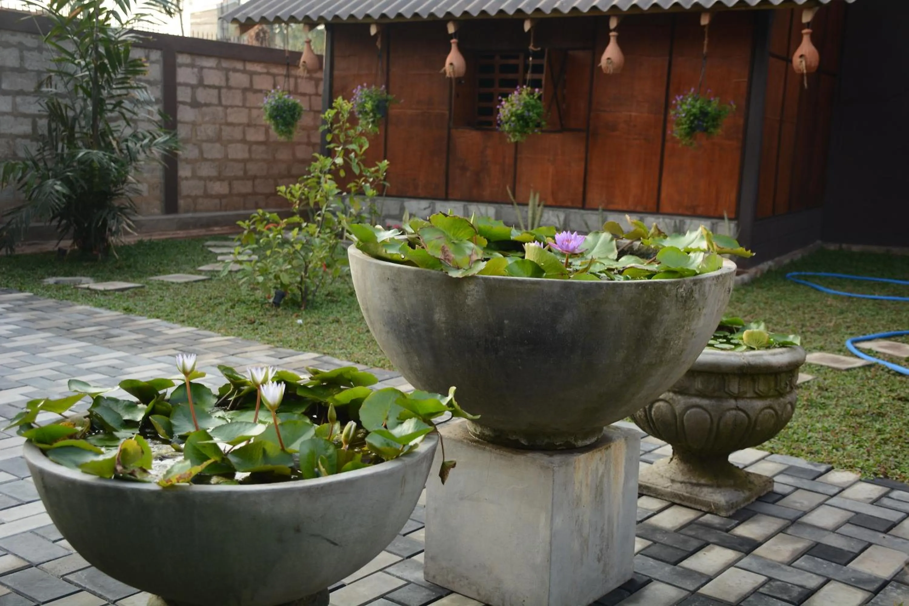Garden in Negombo The Nature Villa and Cabanas