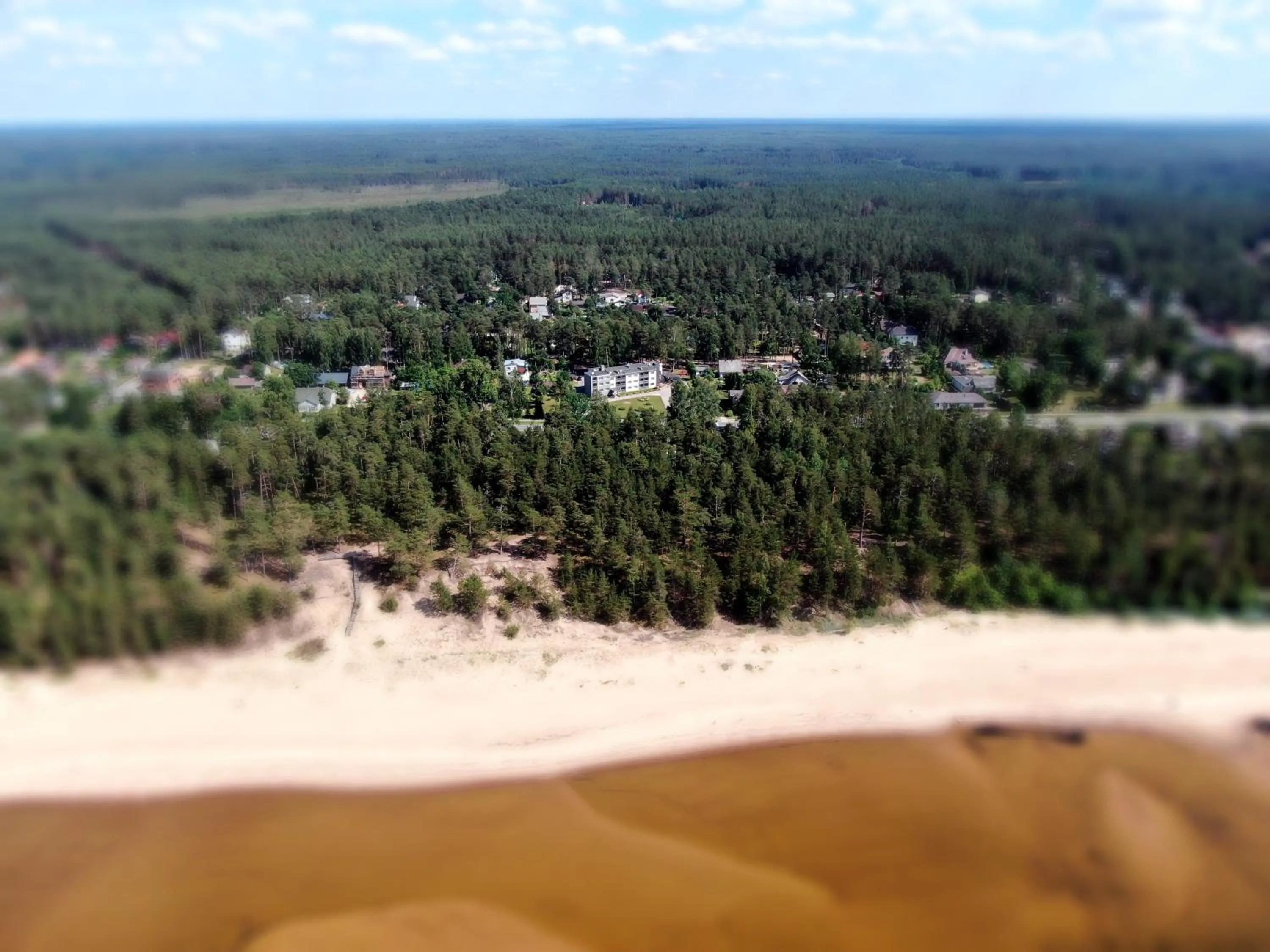 Beach in Pine Resort