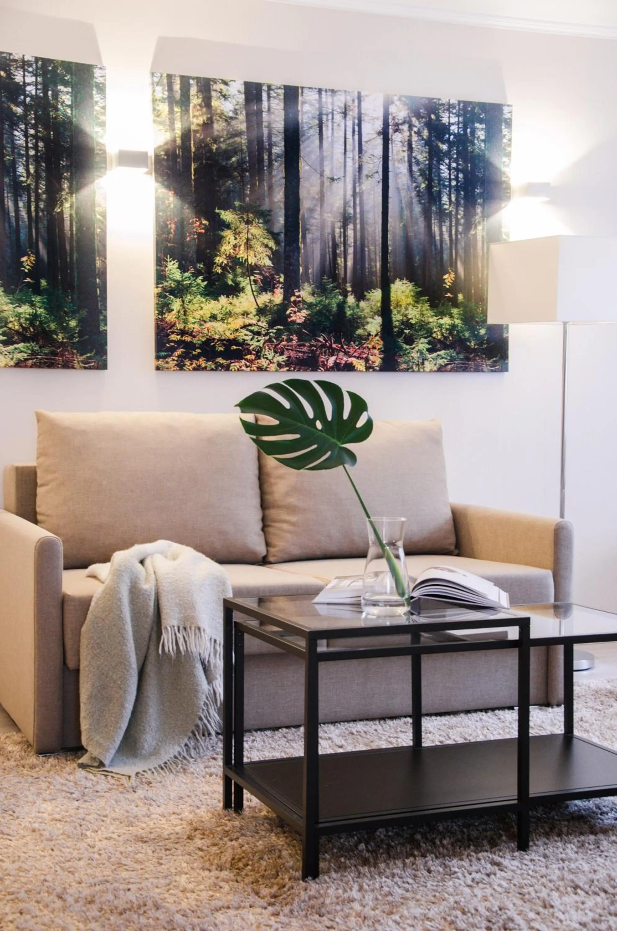 Photo of the whole room in Pine Resort