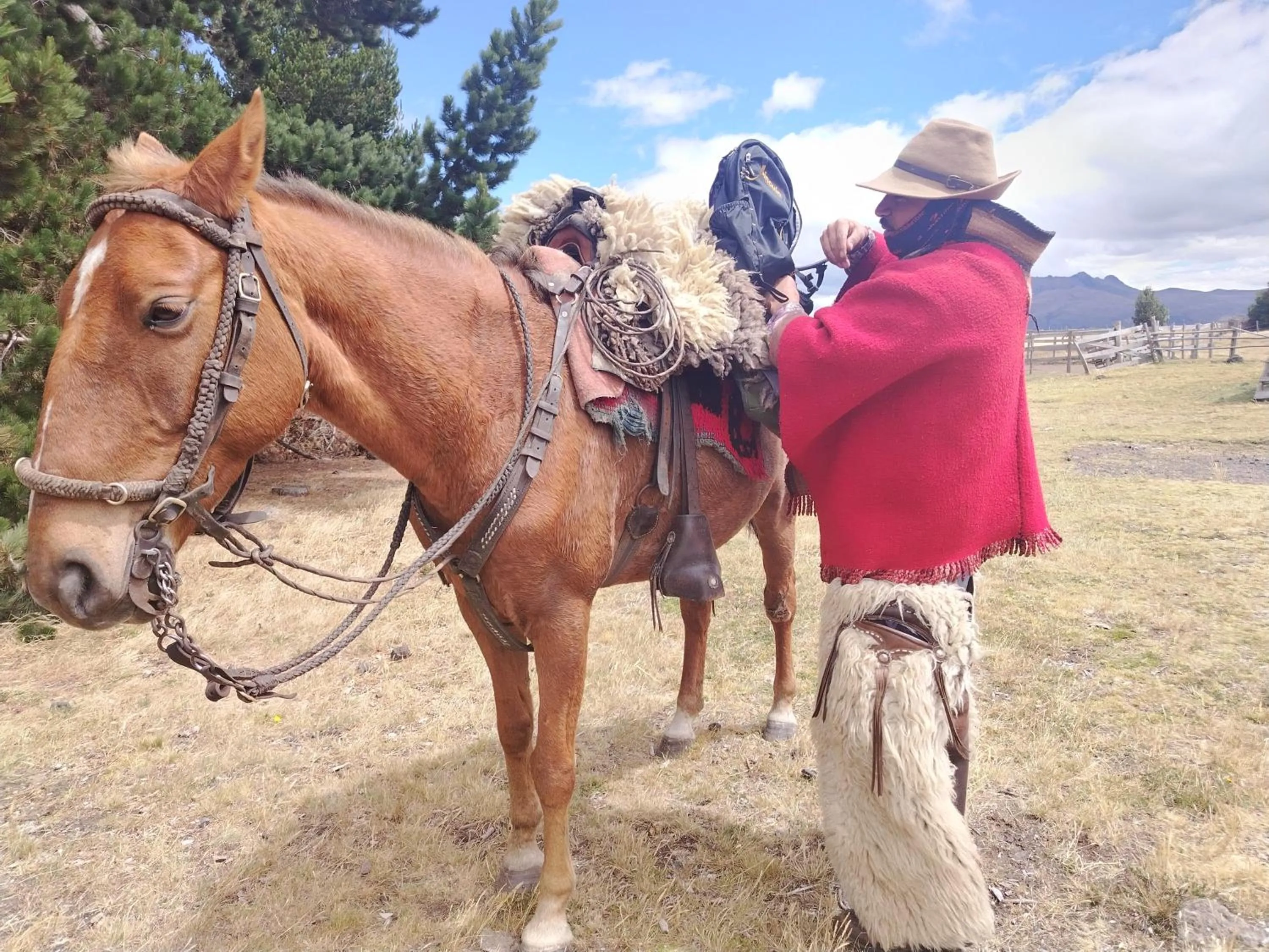 Activities in Ruta de los volcanes