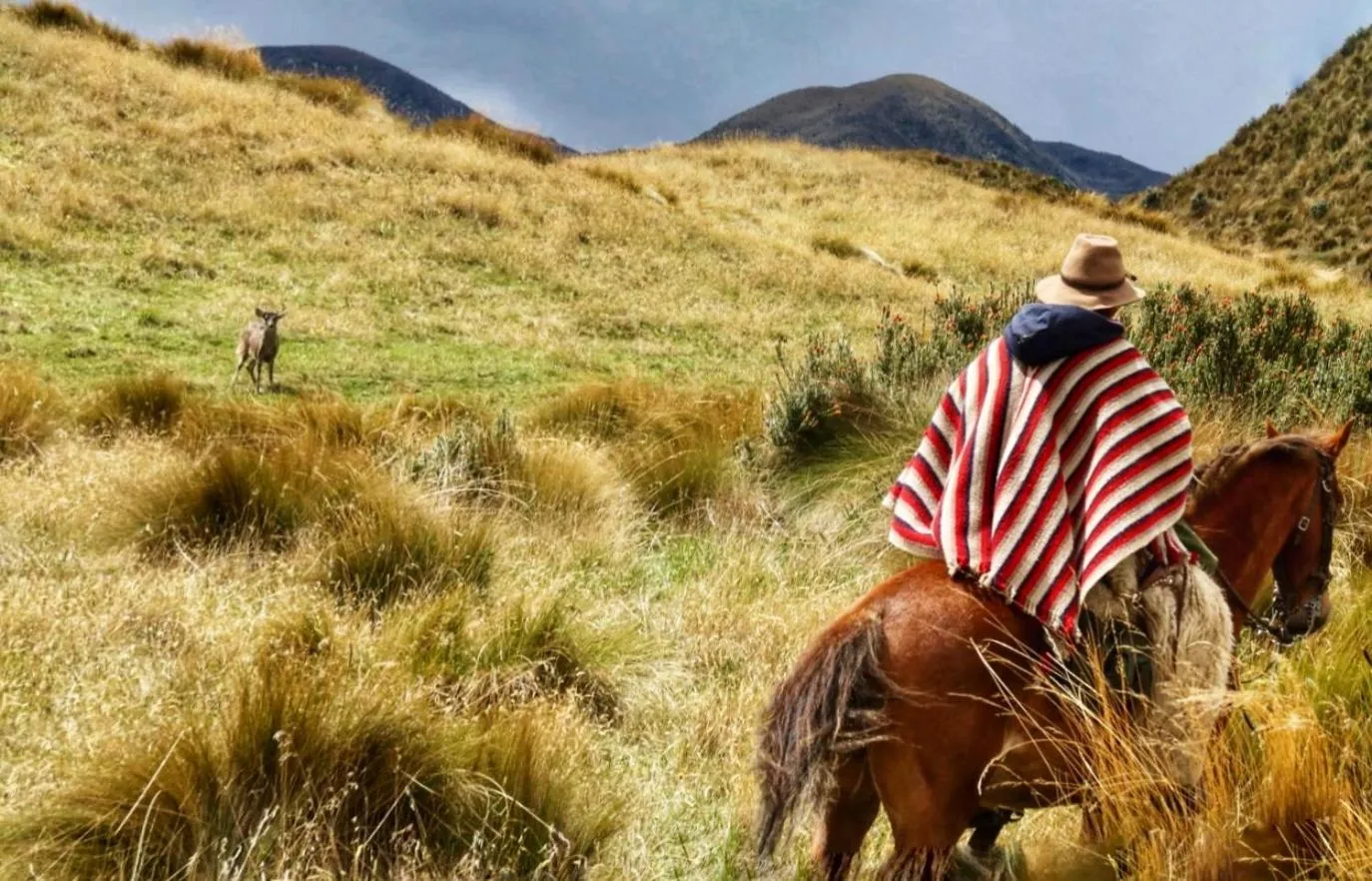 Ruta de los volcanes