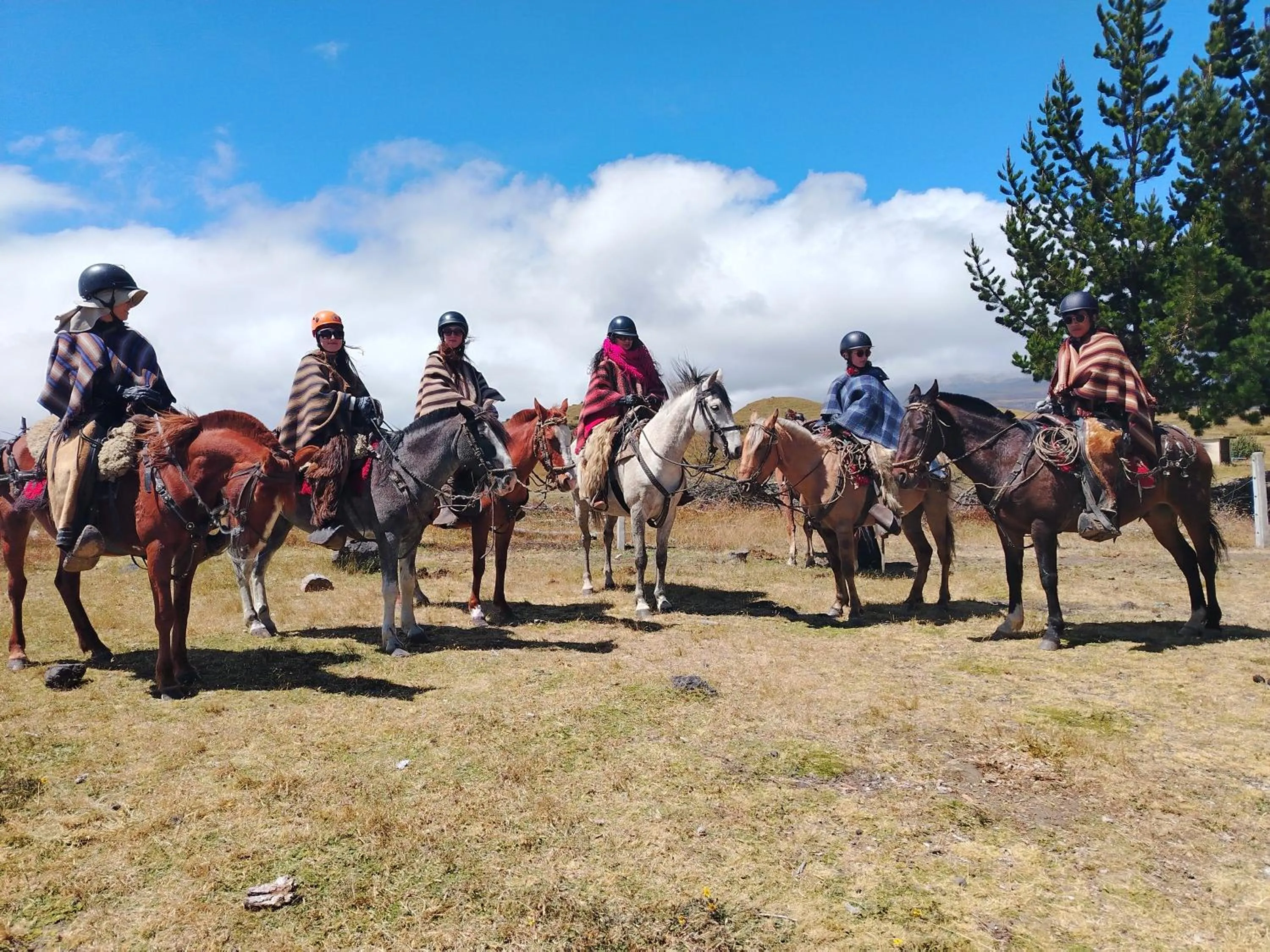 Ruta de los volcanes
