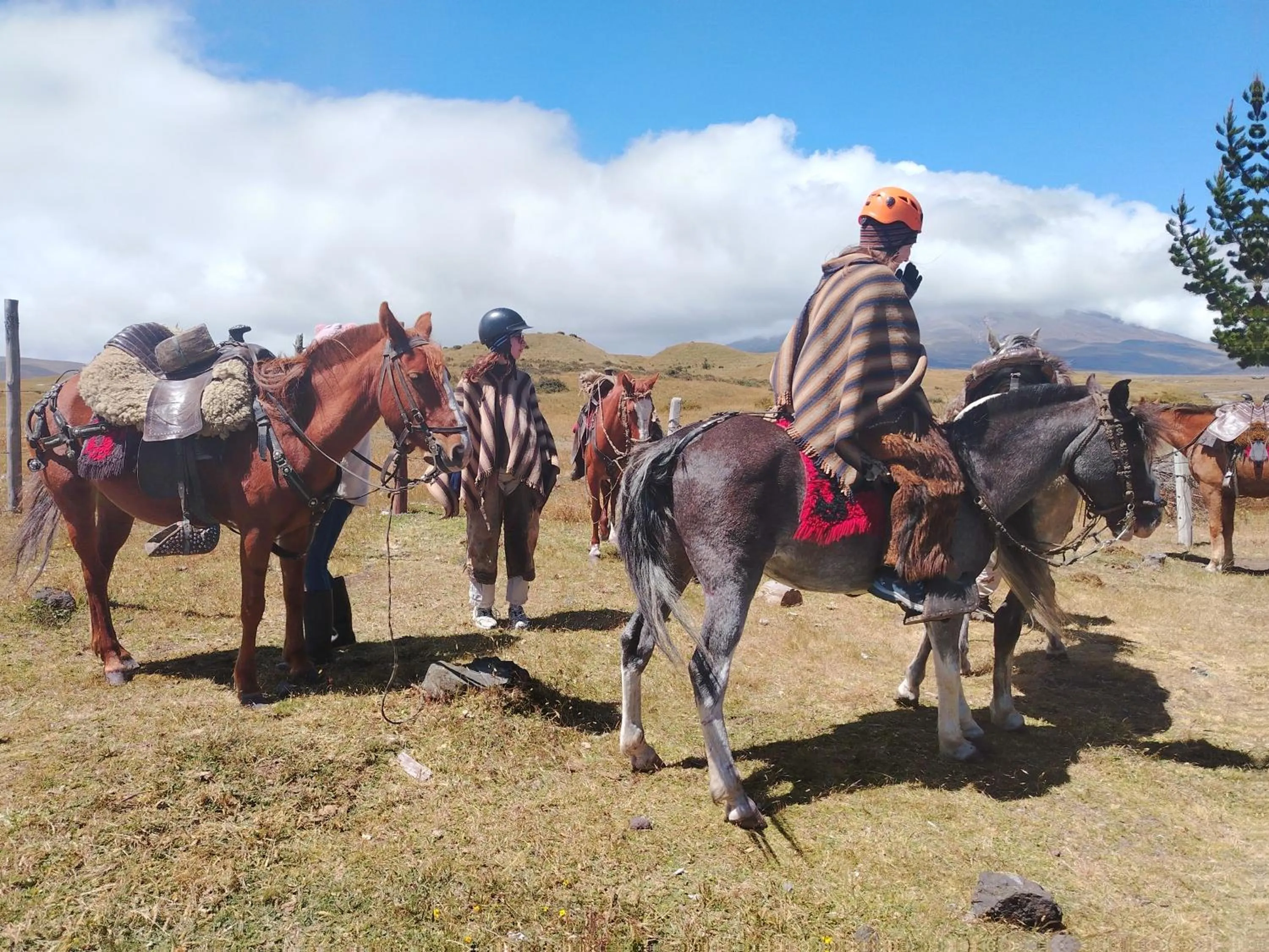 Ruta de los volcanes