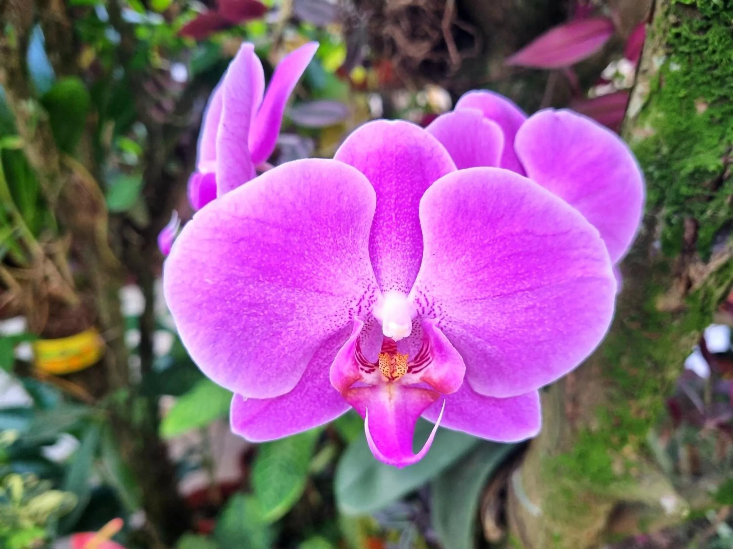 Country Club Eco Casajardin